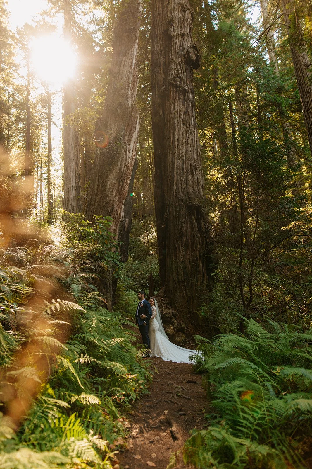 California Redwoods Elopement