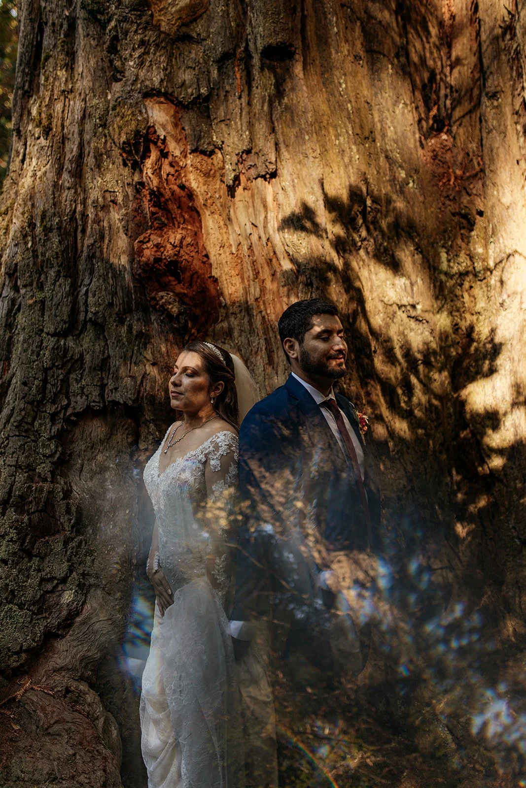 Redwoods National Park Elopement