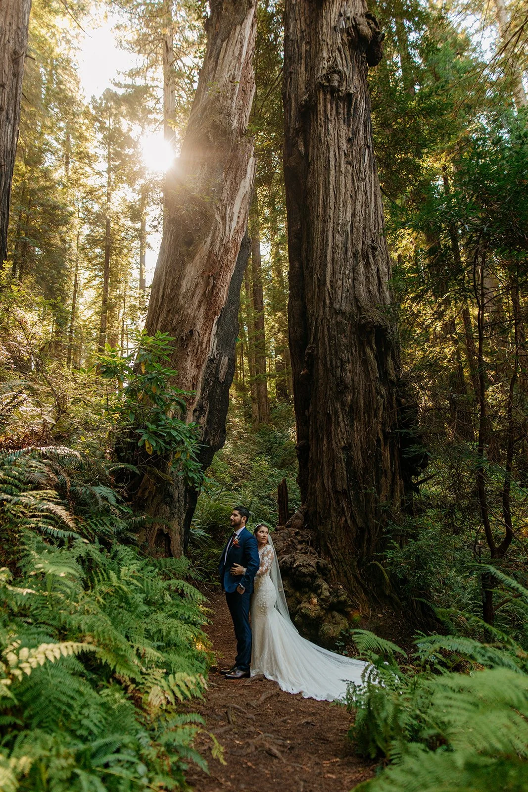 Redwoods National Park Elopement