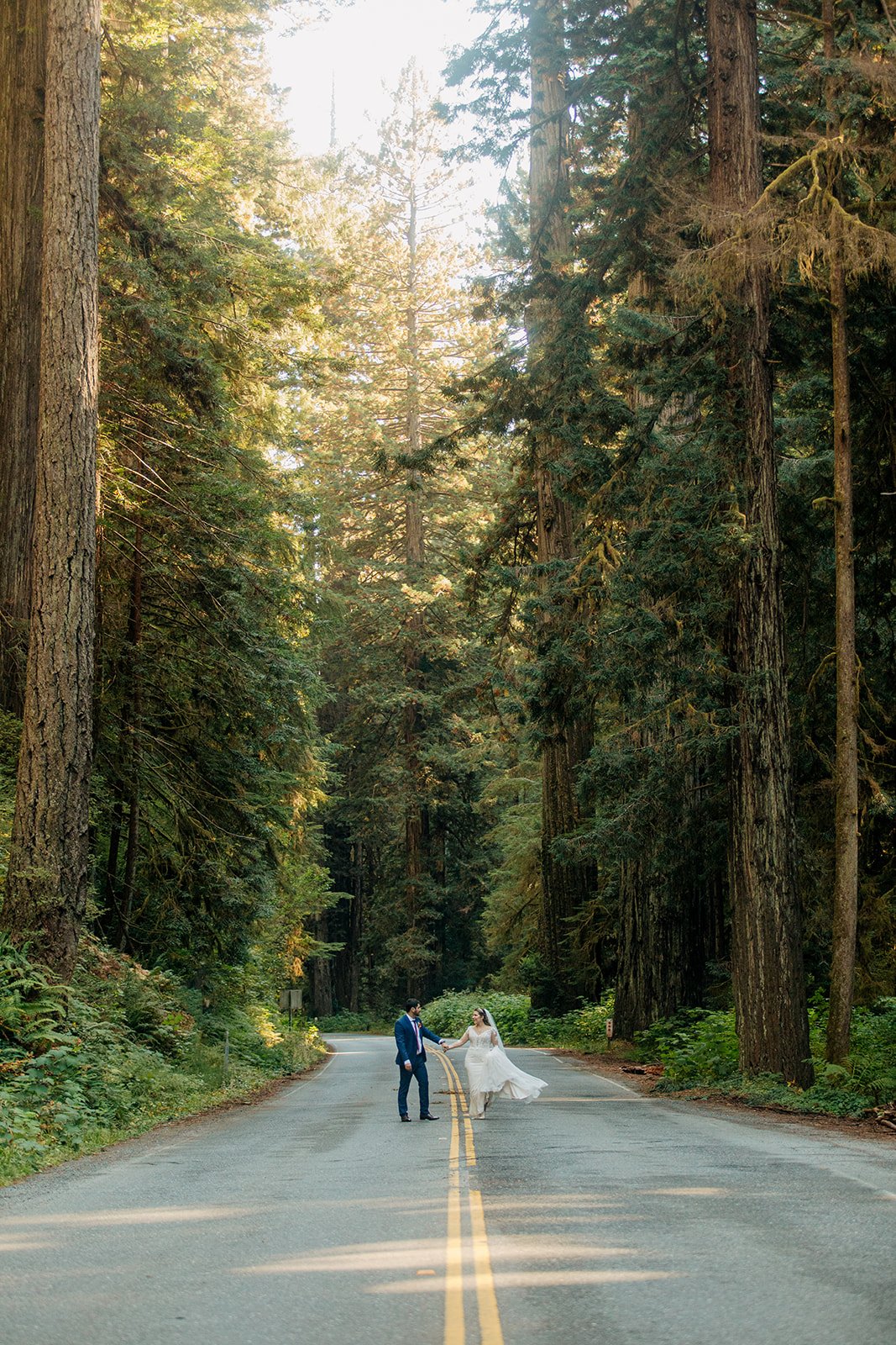 Redwoods National Park Elopement