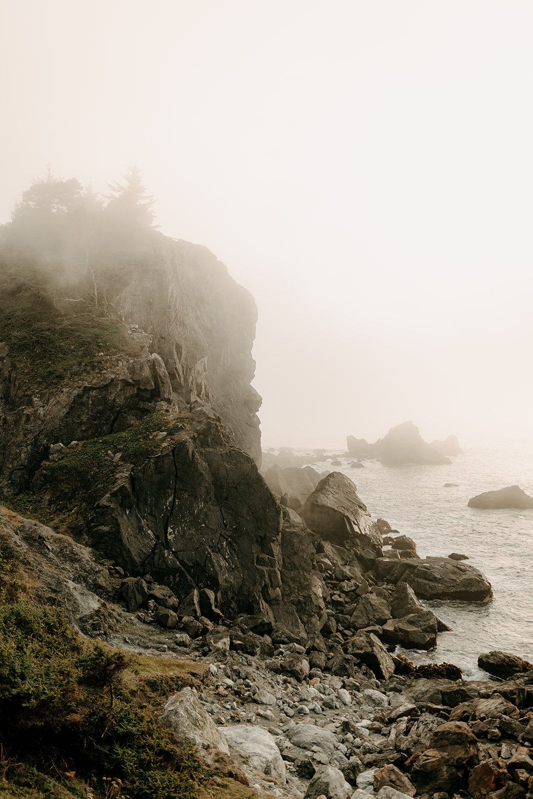 Big Sur Redwoods Elopement