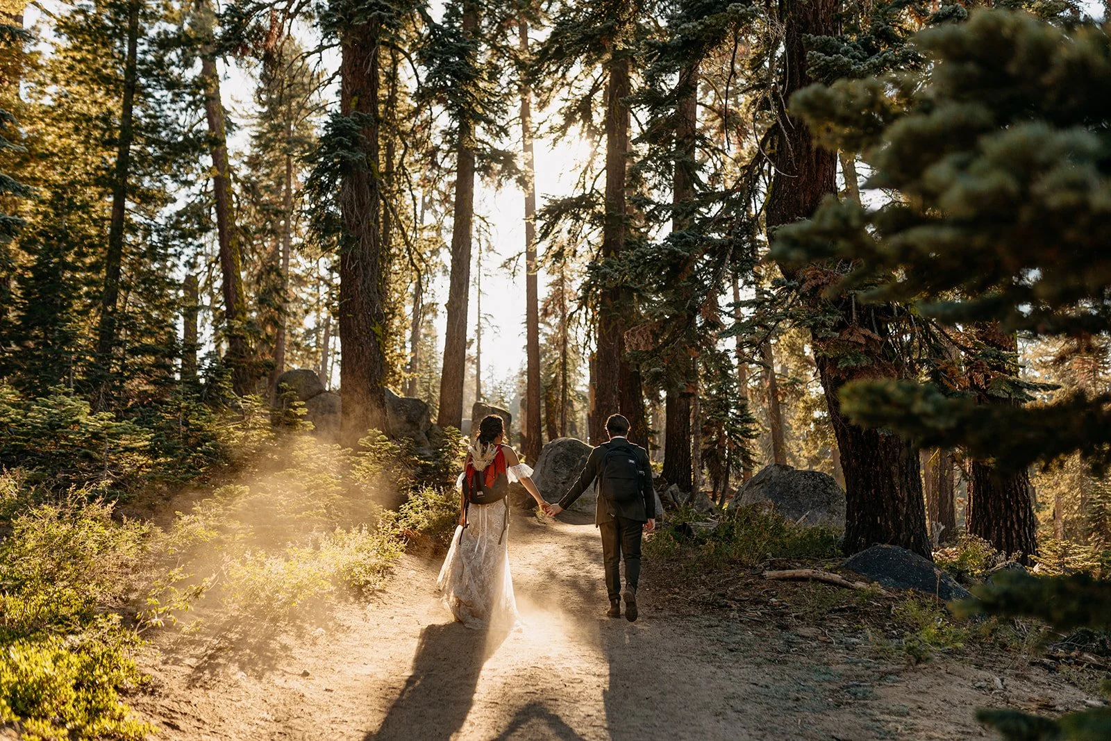 Yosemite National Park Wedding Photography