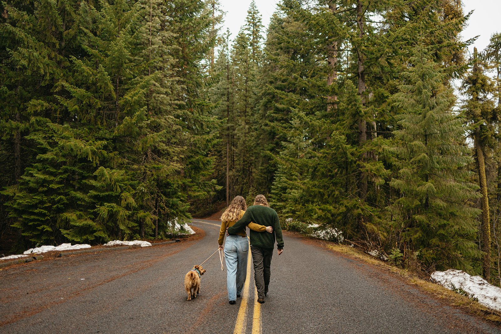 Forest Engagement Photos