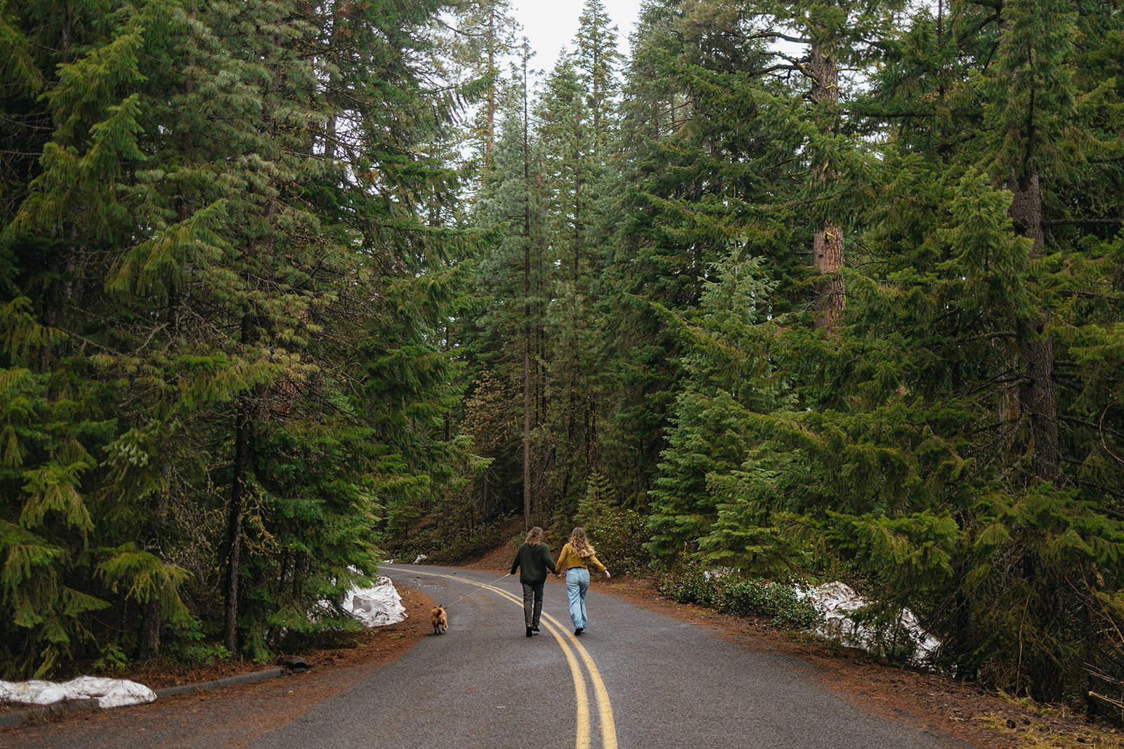 Forest Engagement Photos