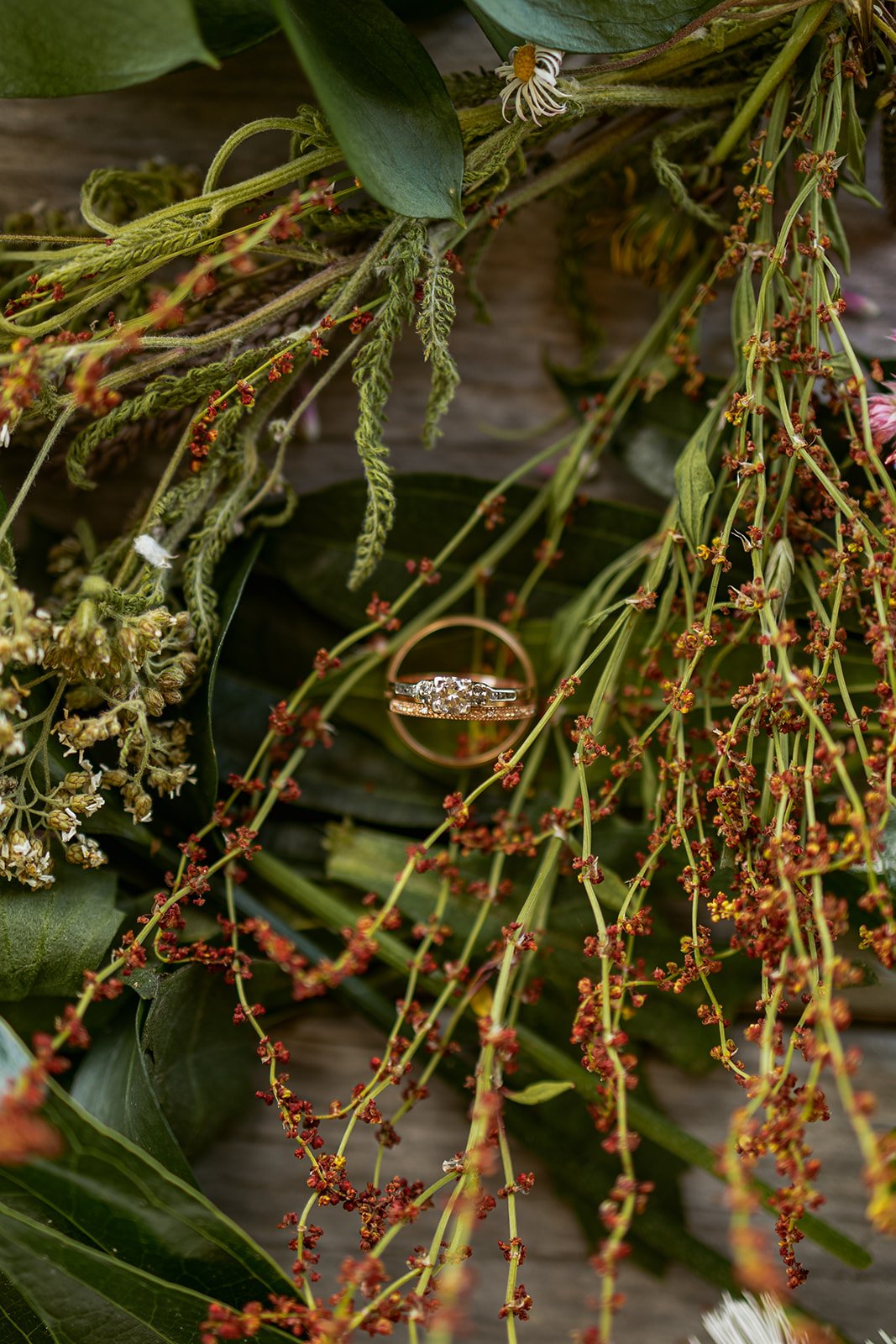Bellingham Wedding