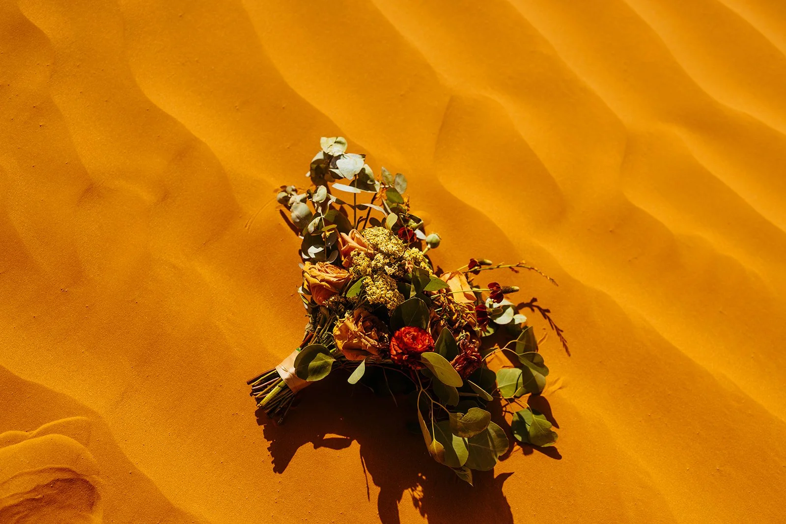 Arches National Park Wedding Photography
