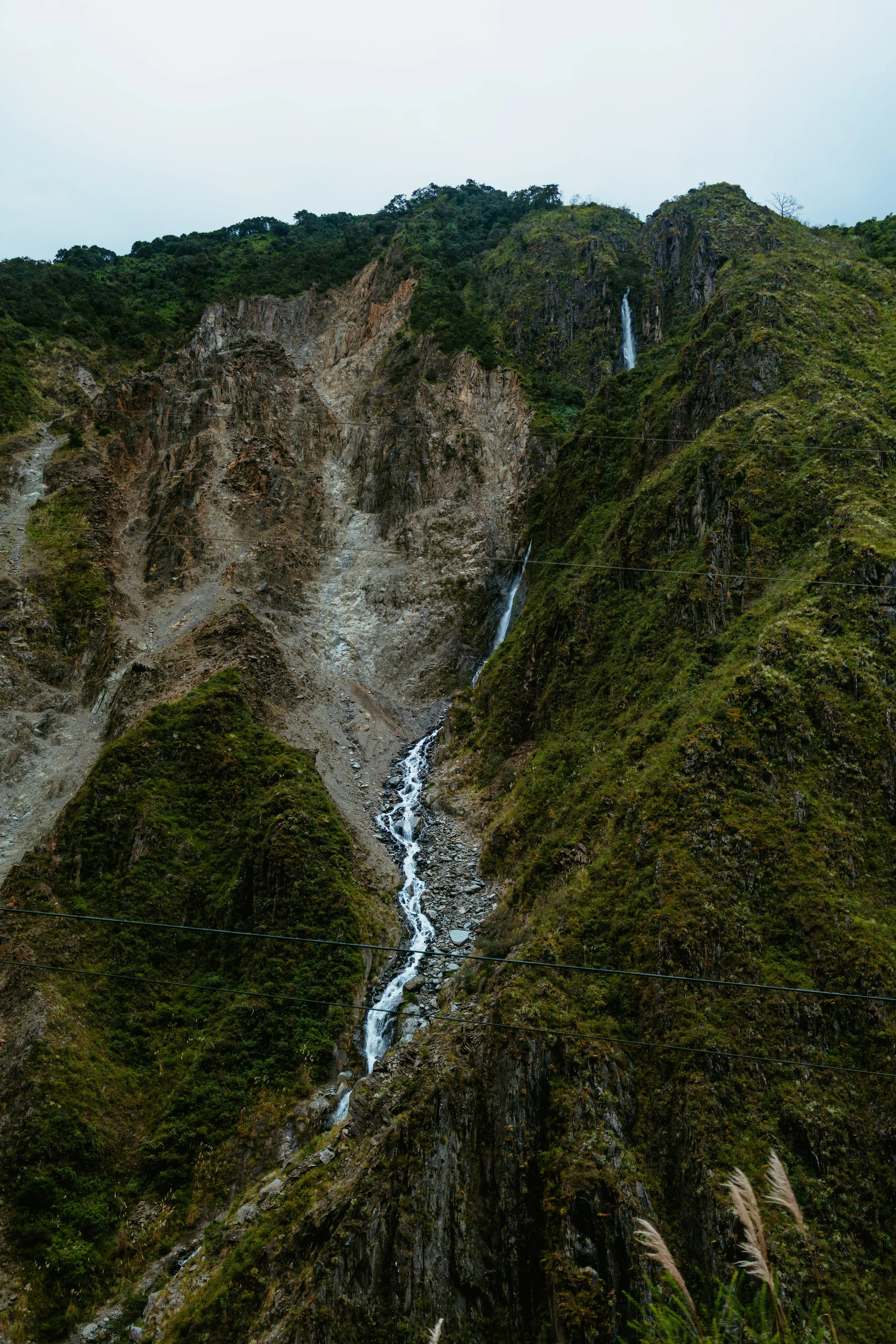 Peru Amazon Rainforest