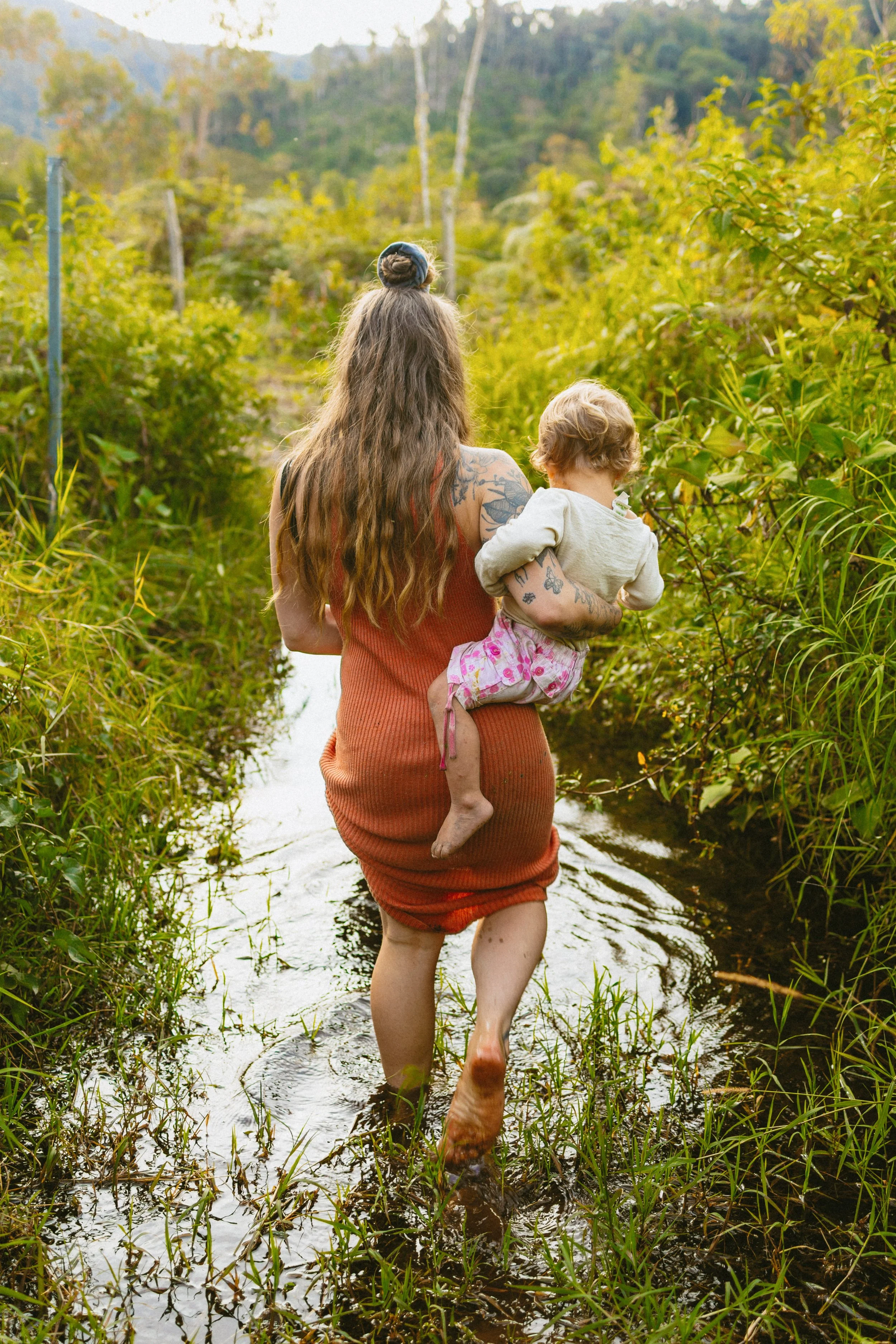 Peru Amazon Rainforest