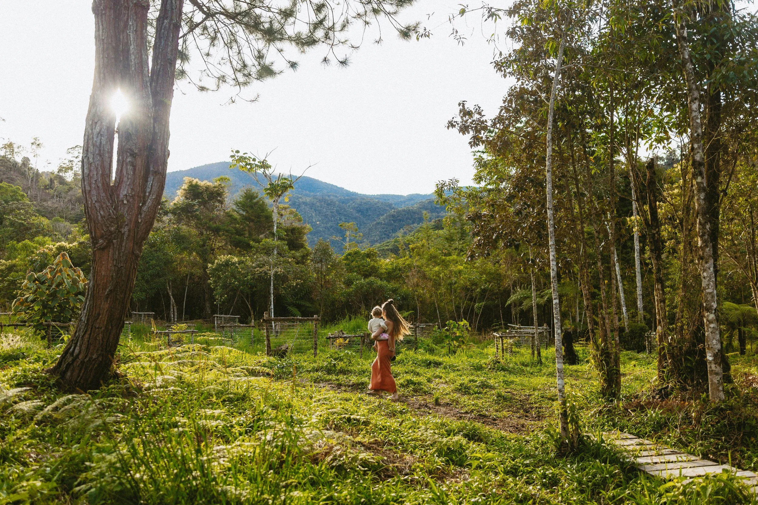 Peru Amazon Rainforest