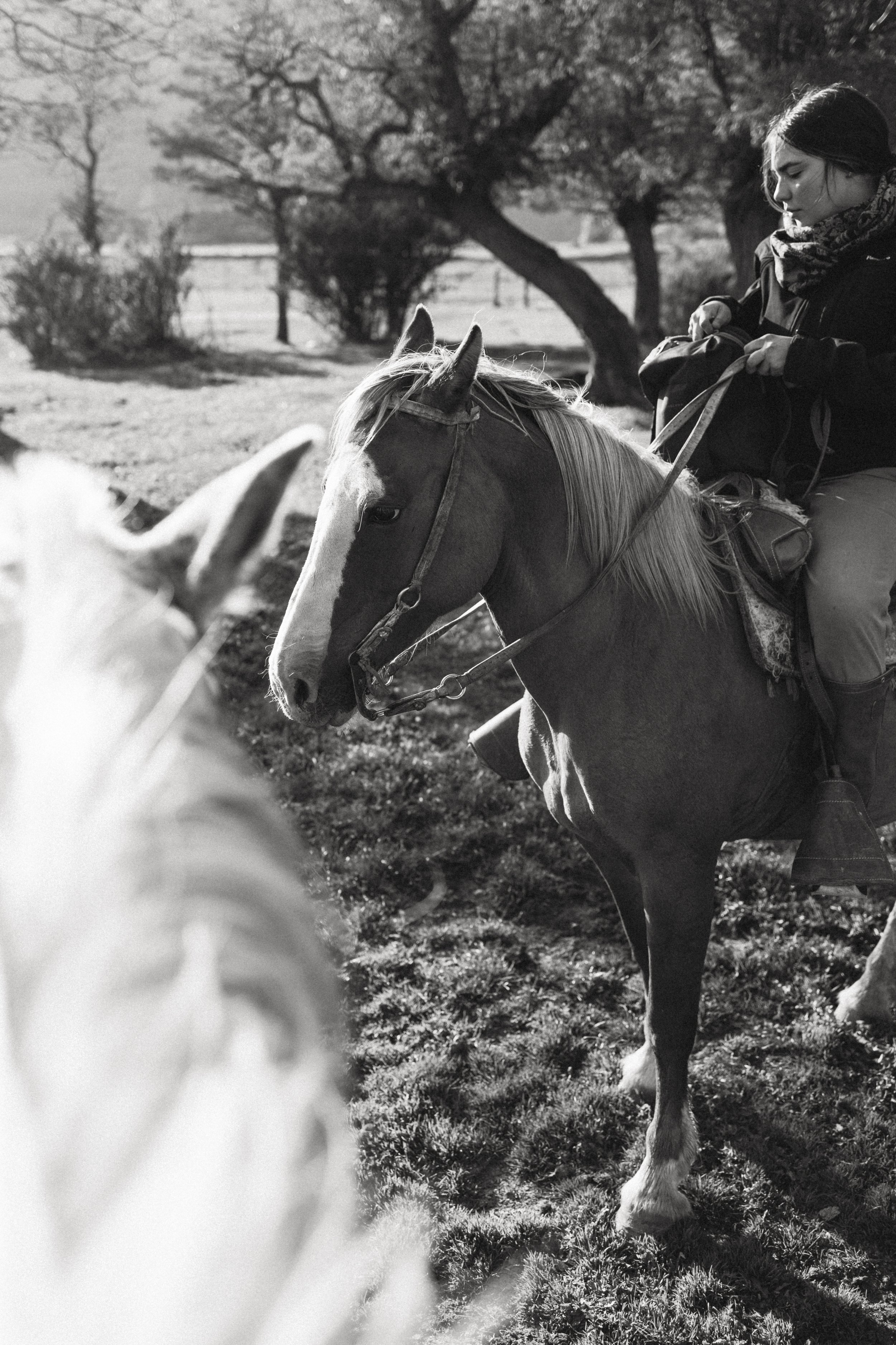 Patagonia, Argentina