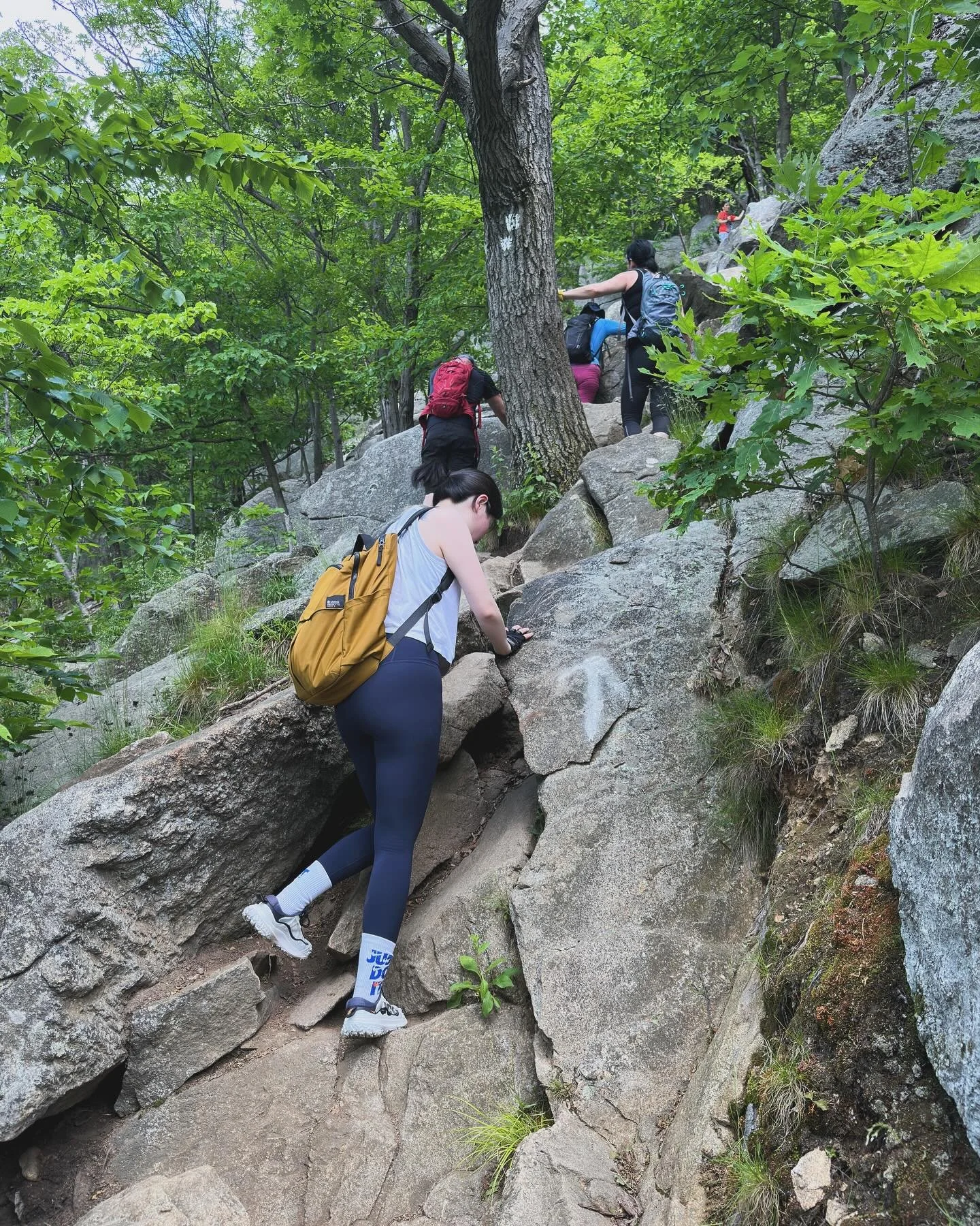 Last Sunday getaway with a good outdoor exercises.
.
With @runyu.hu 
.
#hiking #hikingadventures #climbing #scenery #upstateny #breakneckridge #mercedesbenz #ducati #sunnydays☀️ #training #getaway #mothernature #freshair #acgdaily #acgcommunity #acgt