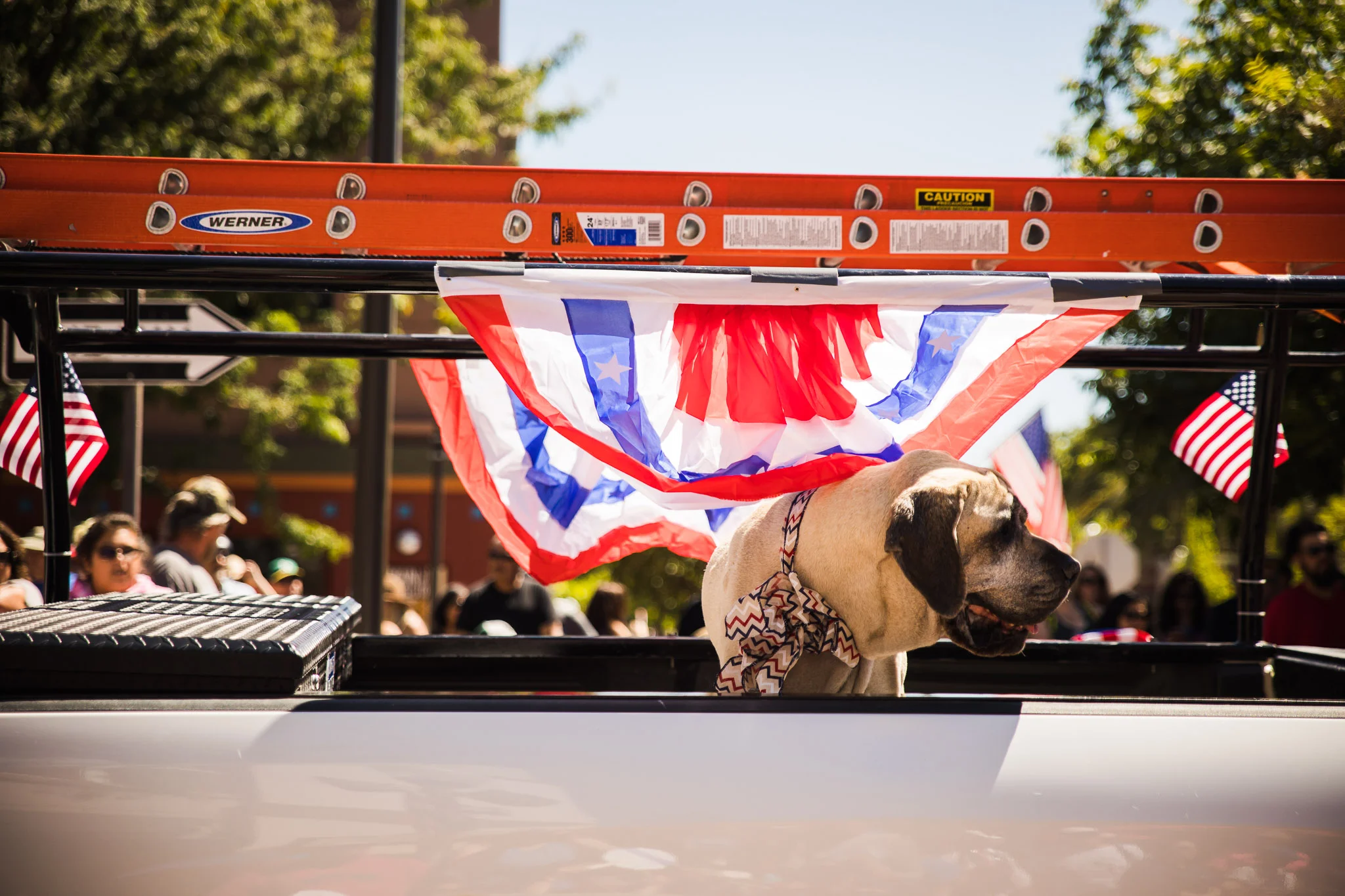 Archer_Inspired_Photography_Morgan_Hill_California_4th_of_july_parade-119.jpg