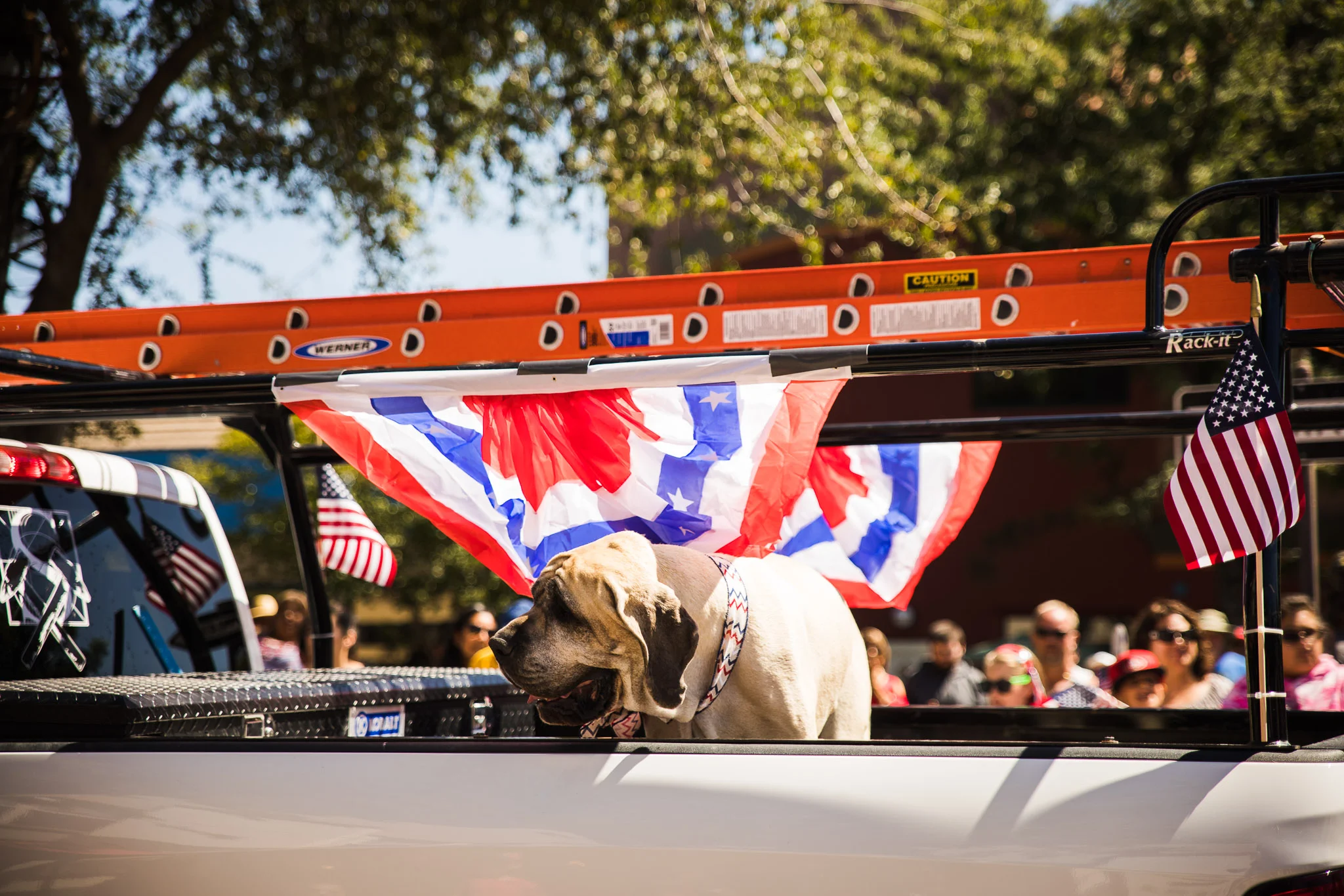 Archer_Inspired_Photography_Morgan_Hill_California_4th_of_july_parade-120.jpg
