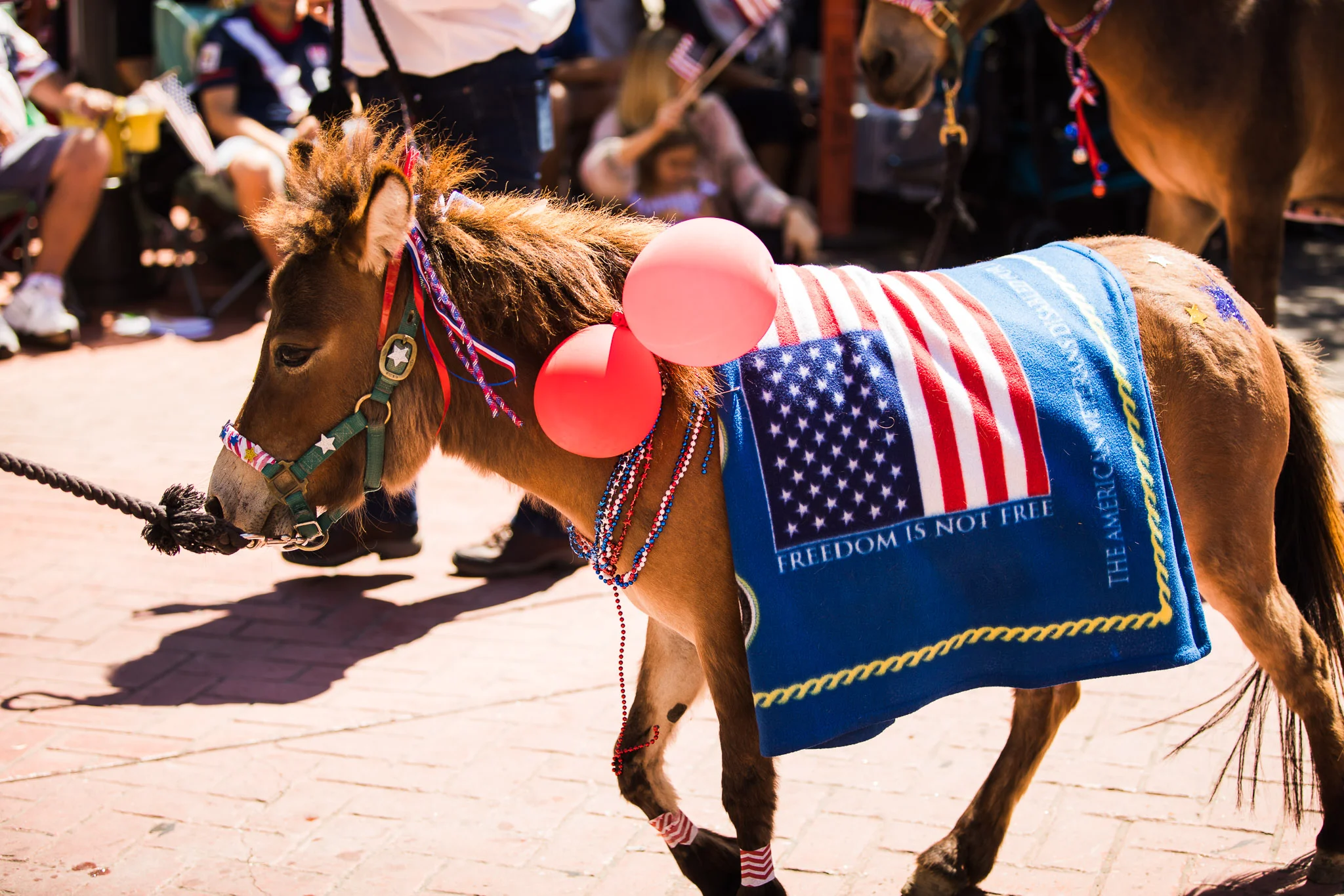 Archer_Inspired_Photography_Morgan_Hill_California_4th_of_july_parade-161.jpg