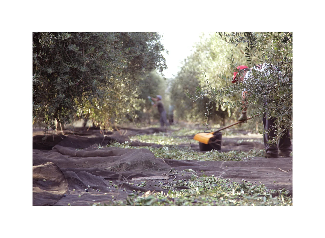 Healthy Production