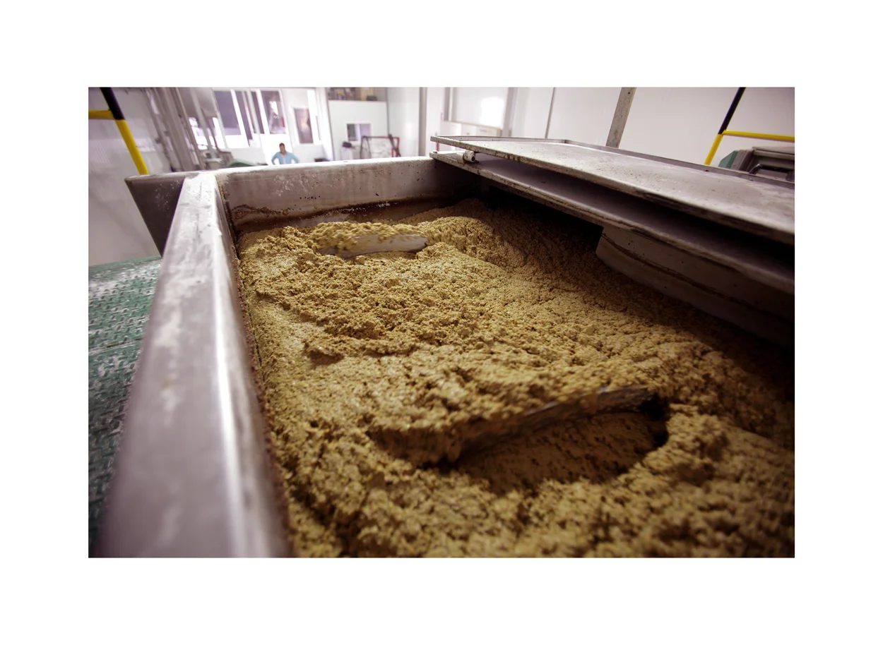 evoo production cold press