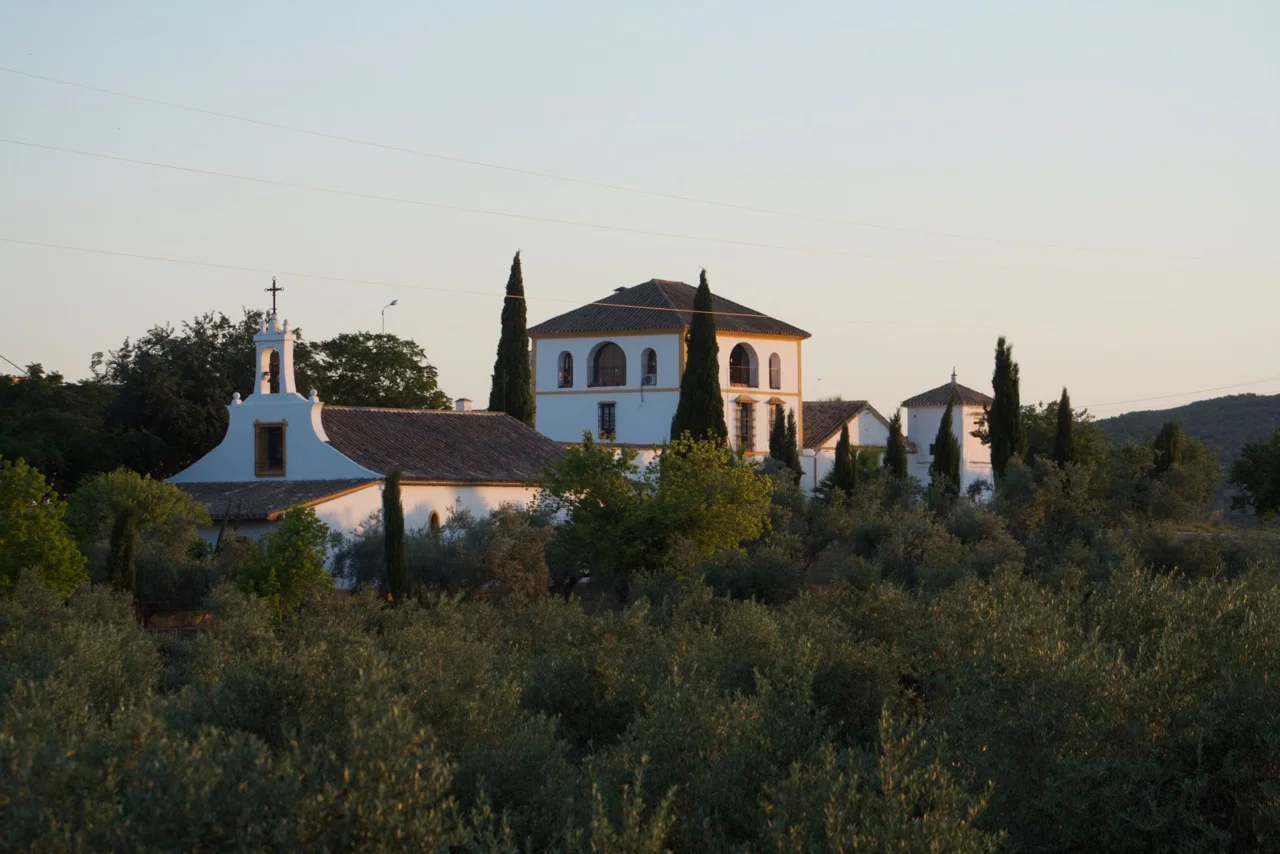 Duernas Olive Chapel 