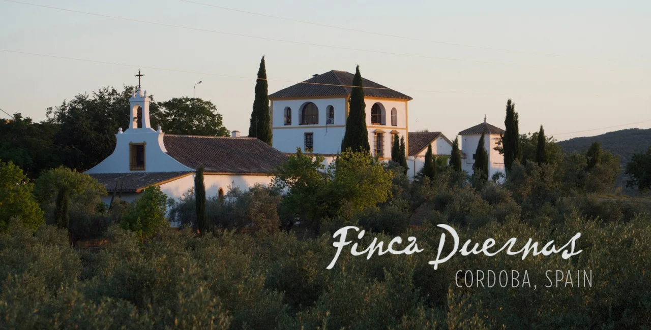 duernas homepage edited.jpg
