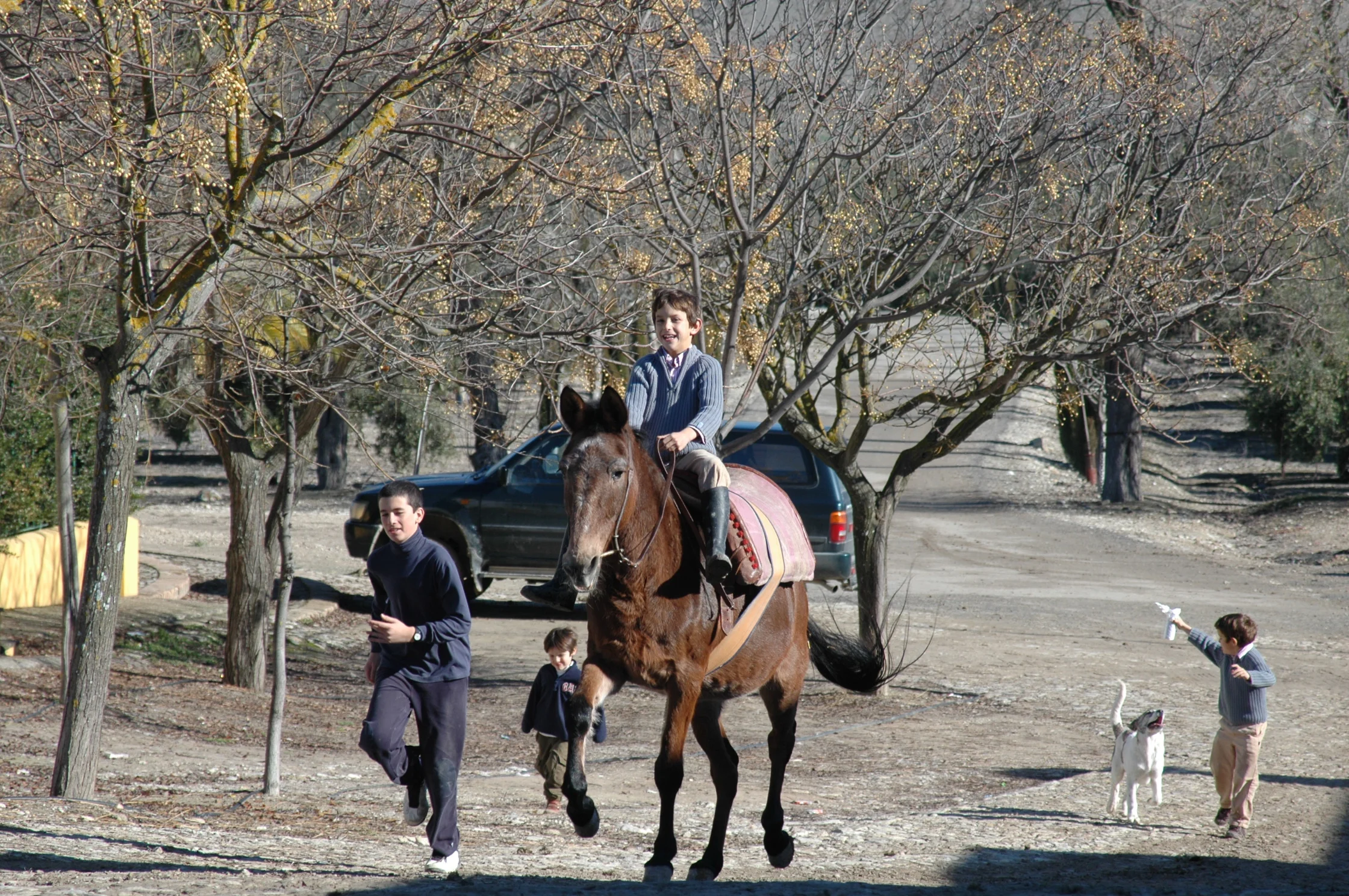 Riding horses at Duernas