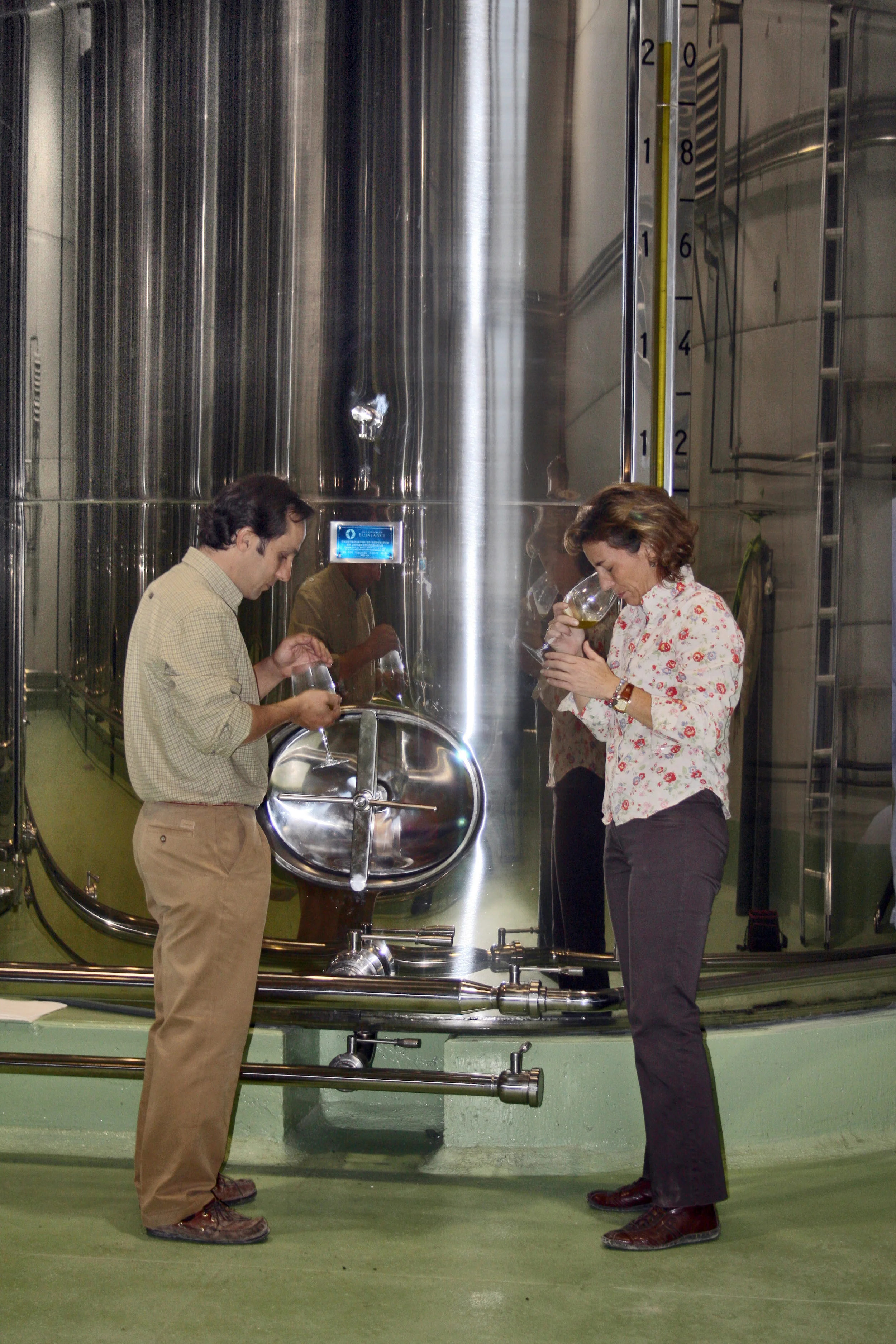 Smelling Excellent EVOO