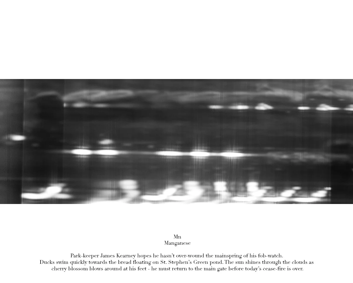 53cm x 153cm pigment print on Hahnemühle Photo Rag edition 3 + 1 A/P