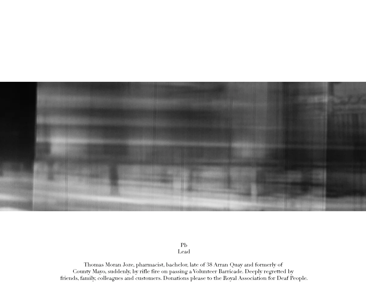 53cm x 153cm pigment print on Hahnemühle Photo Rag edition 3 + 1 A/P