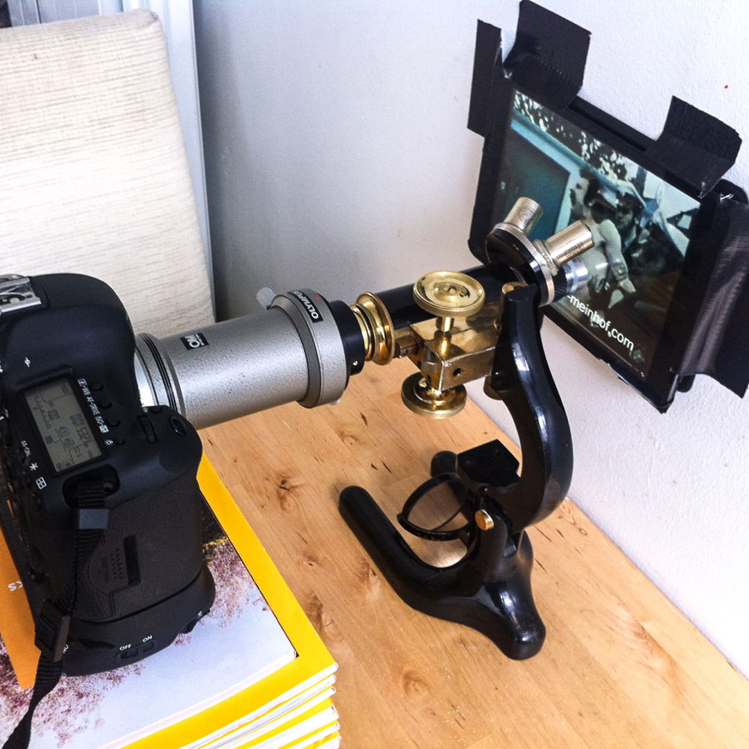 Photomicrography in progress