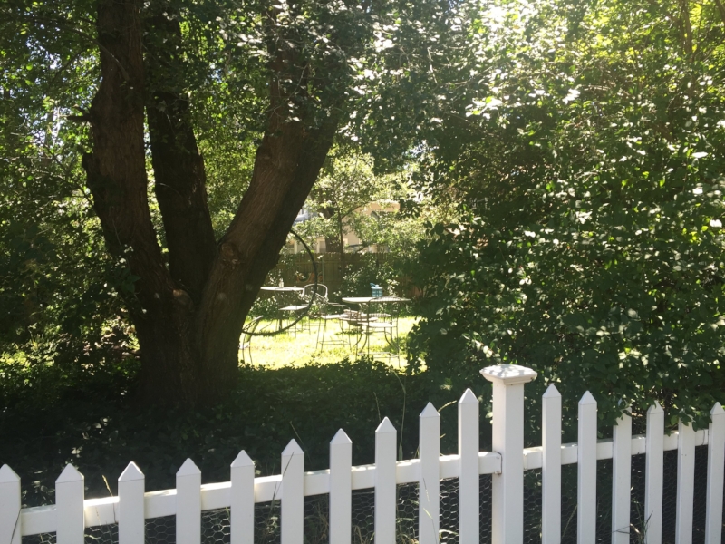 Flagstaff city residents treasure it's mountain village personality.