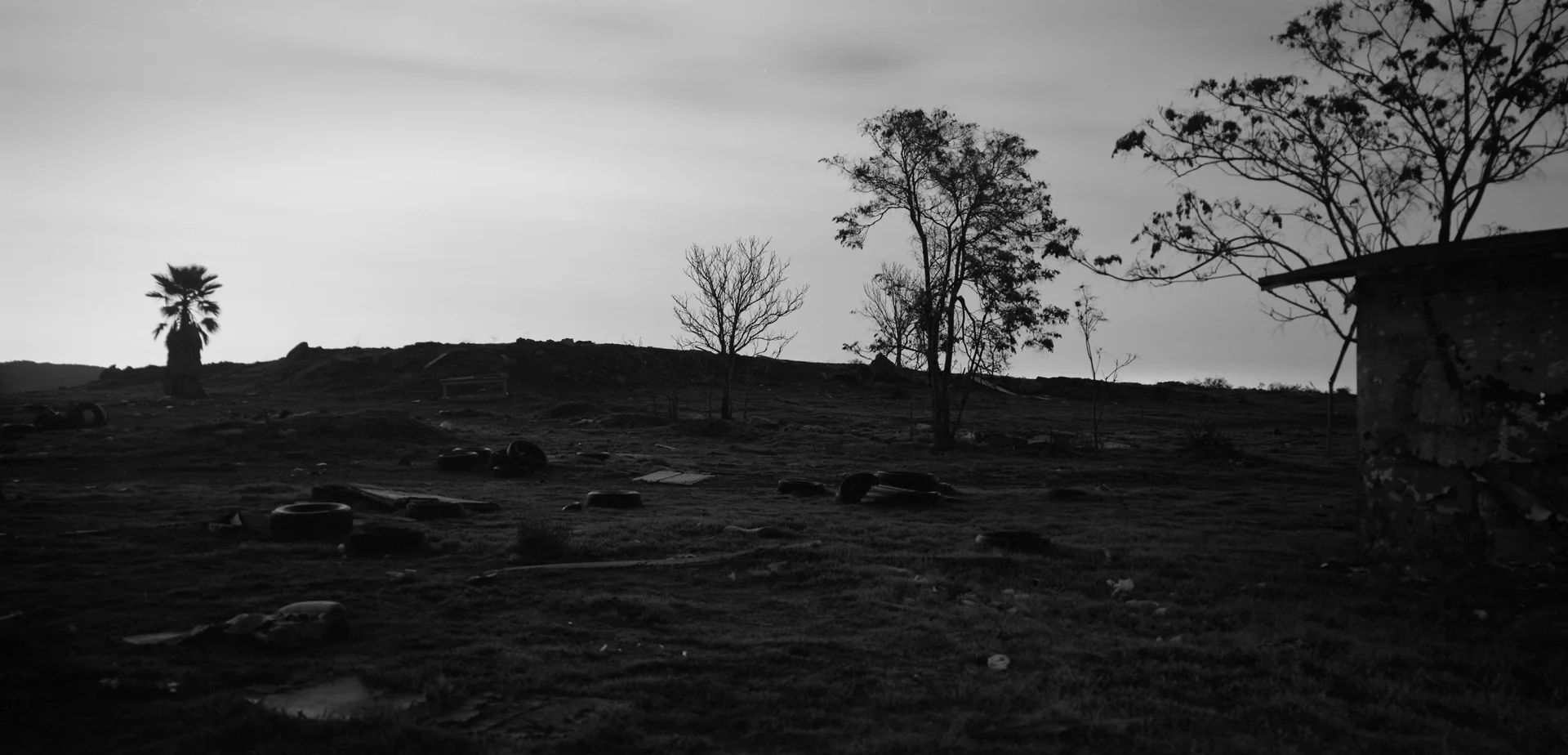 Untitled-47a.jpg