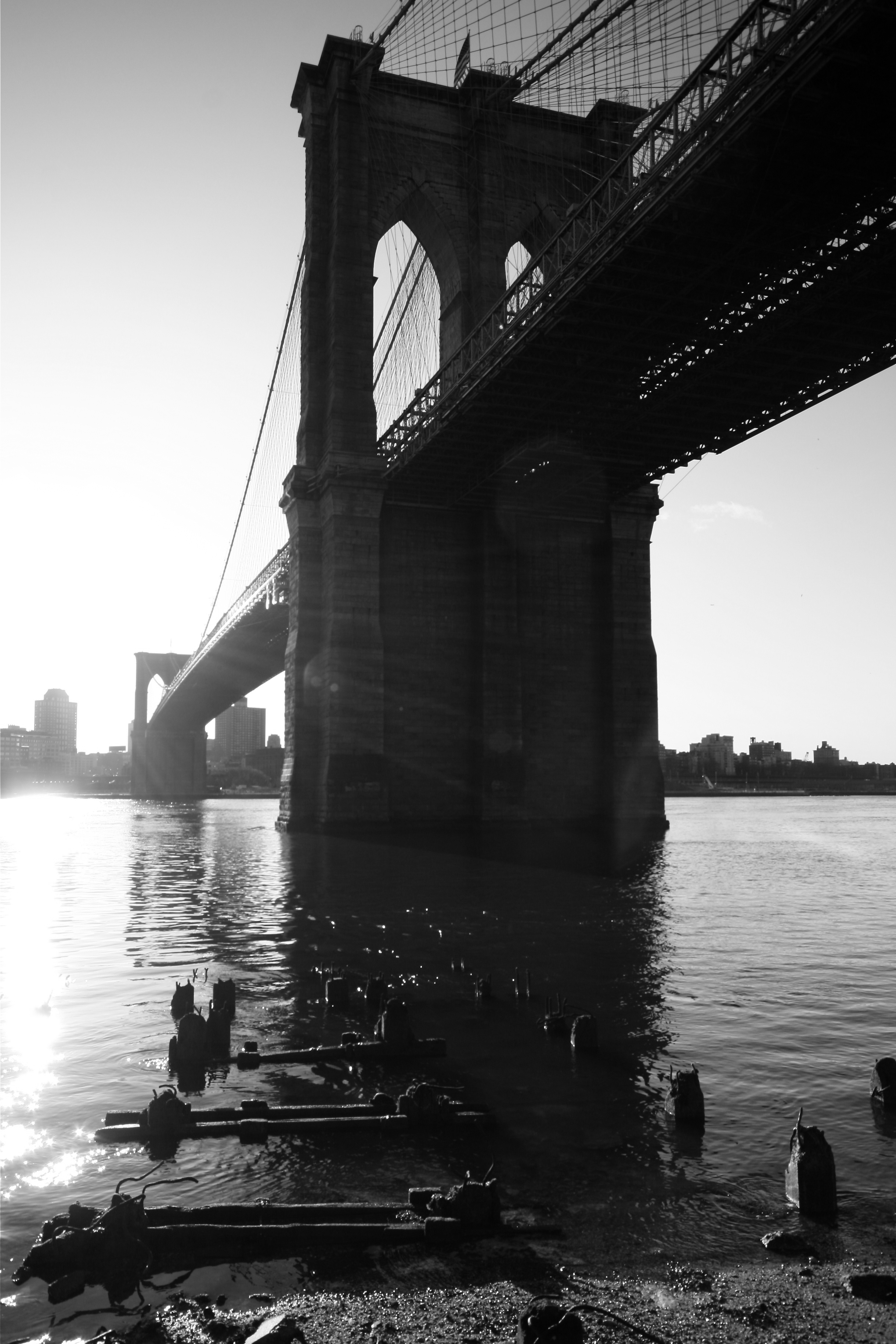 IMG_9953_2.png