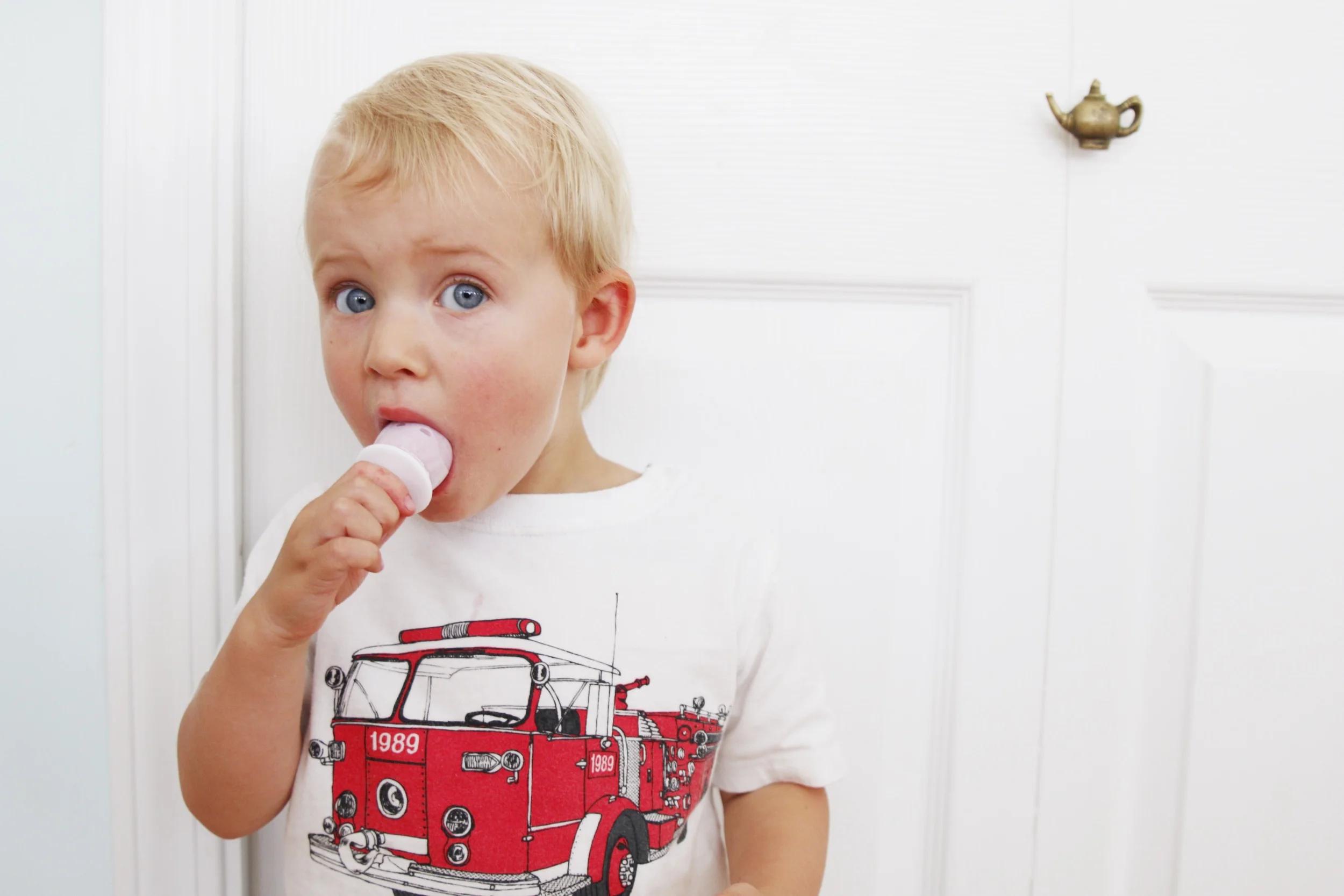 Mini yogurt pops