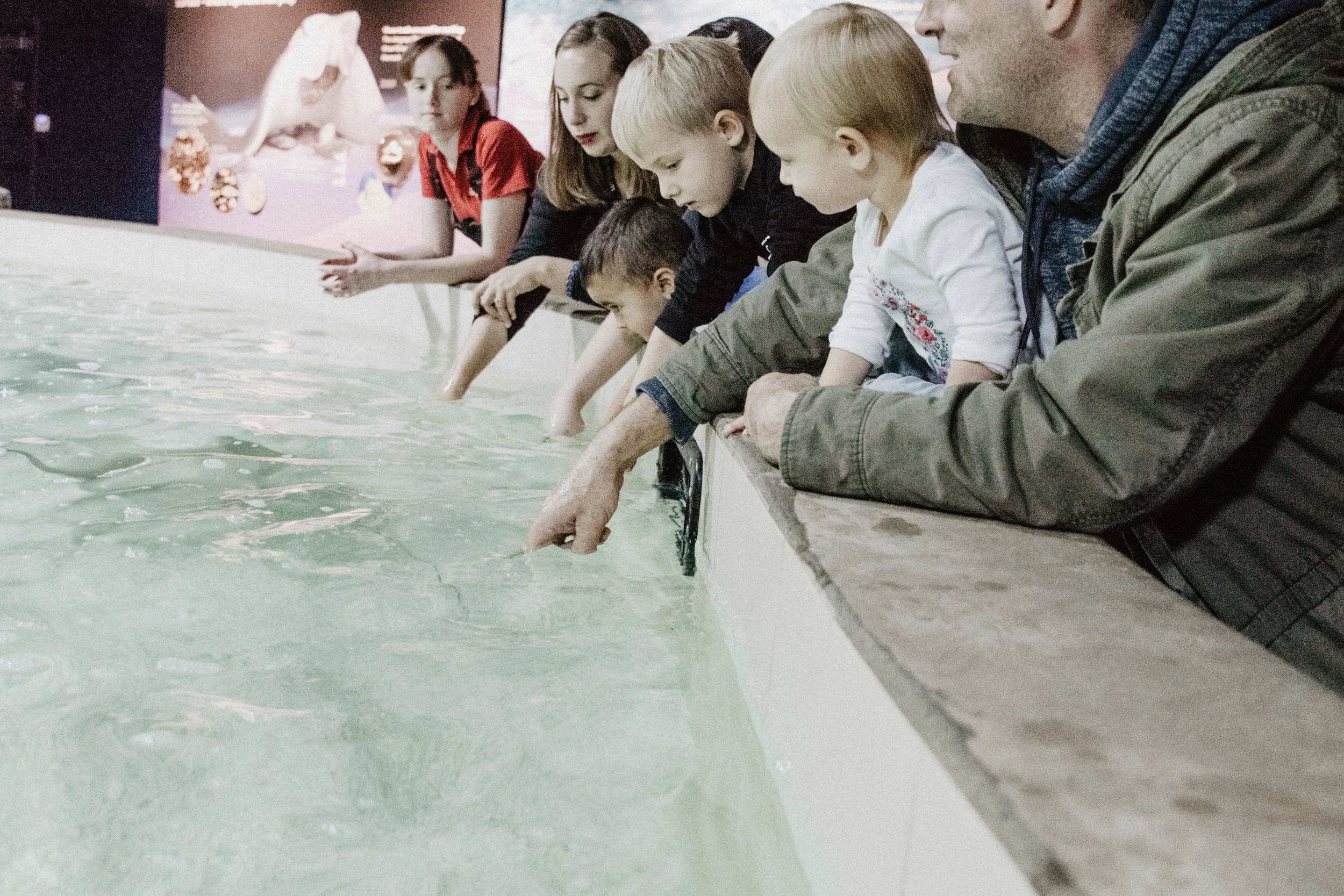 aquarium-15.jpg
