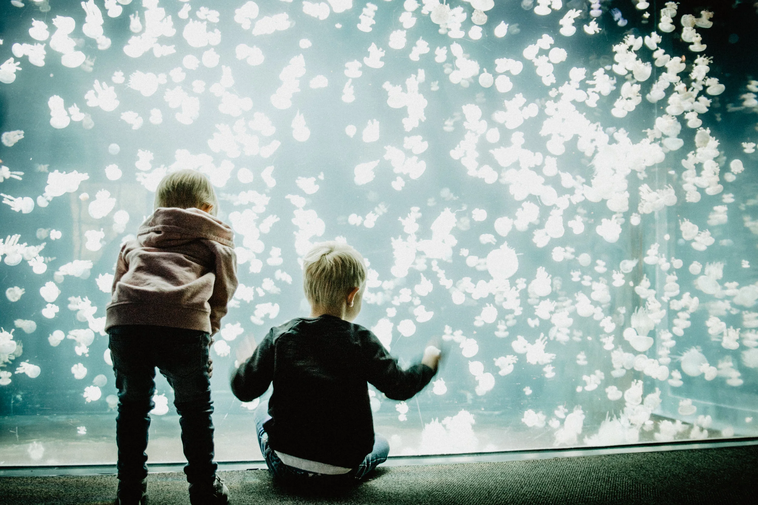 aquarium-7.jpg