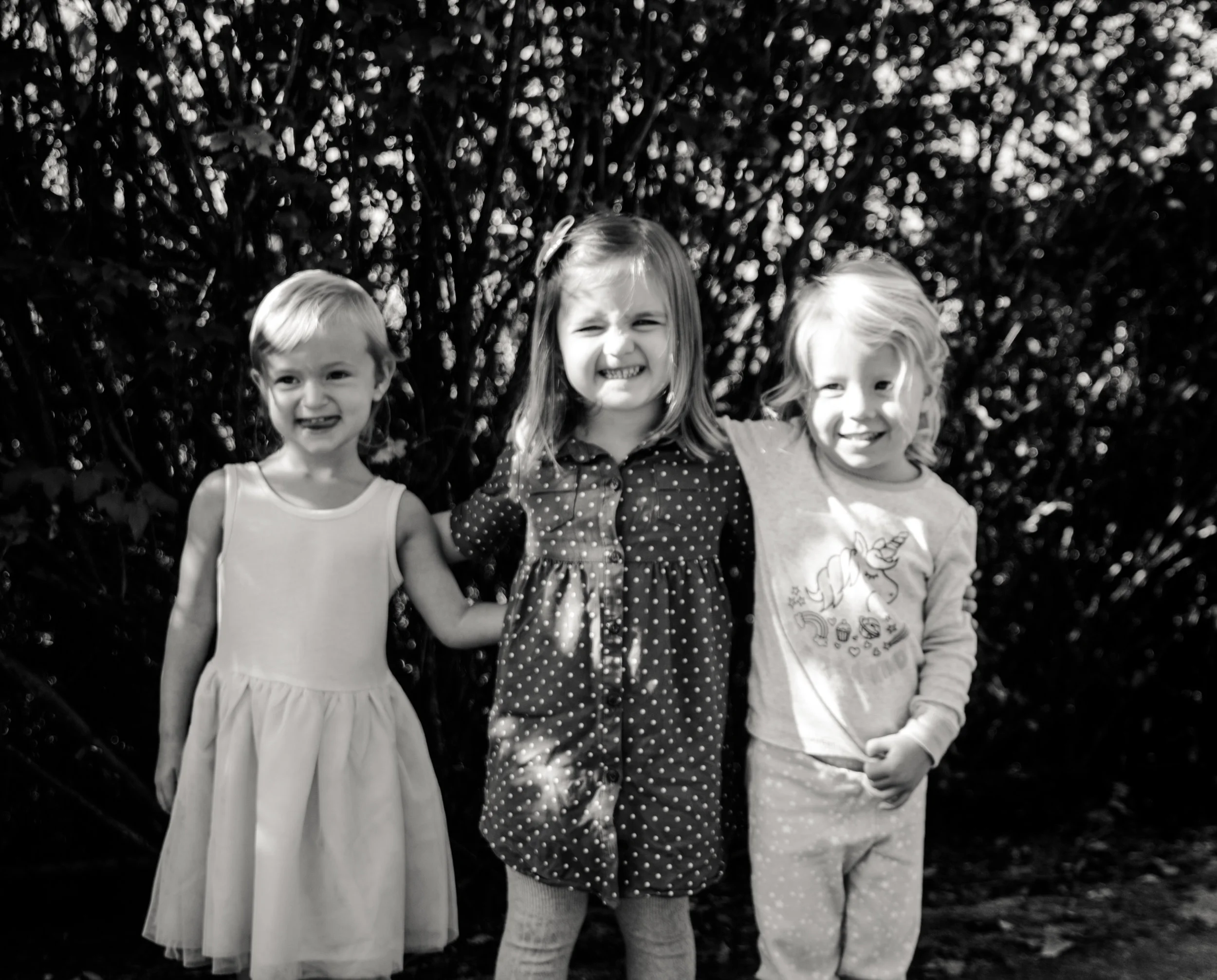 Horses and Kins bday-23.jpg