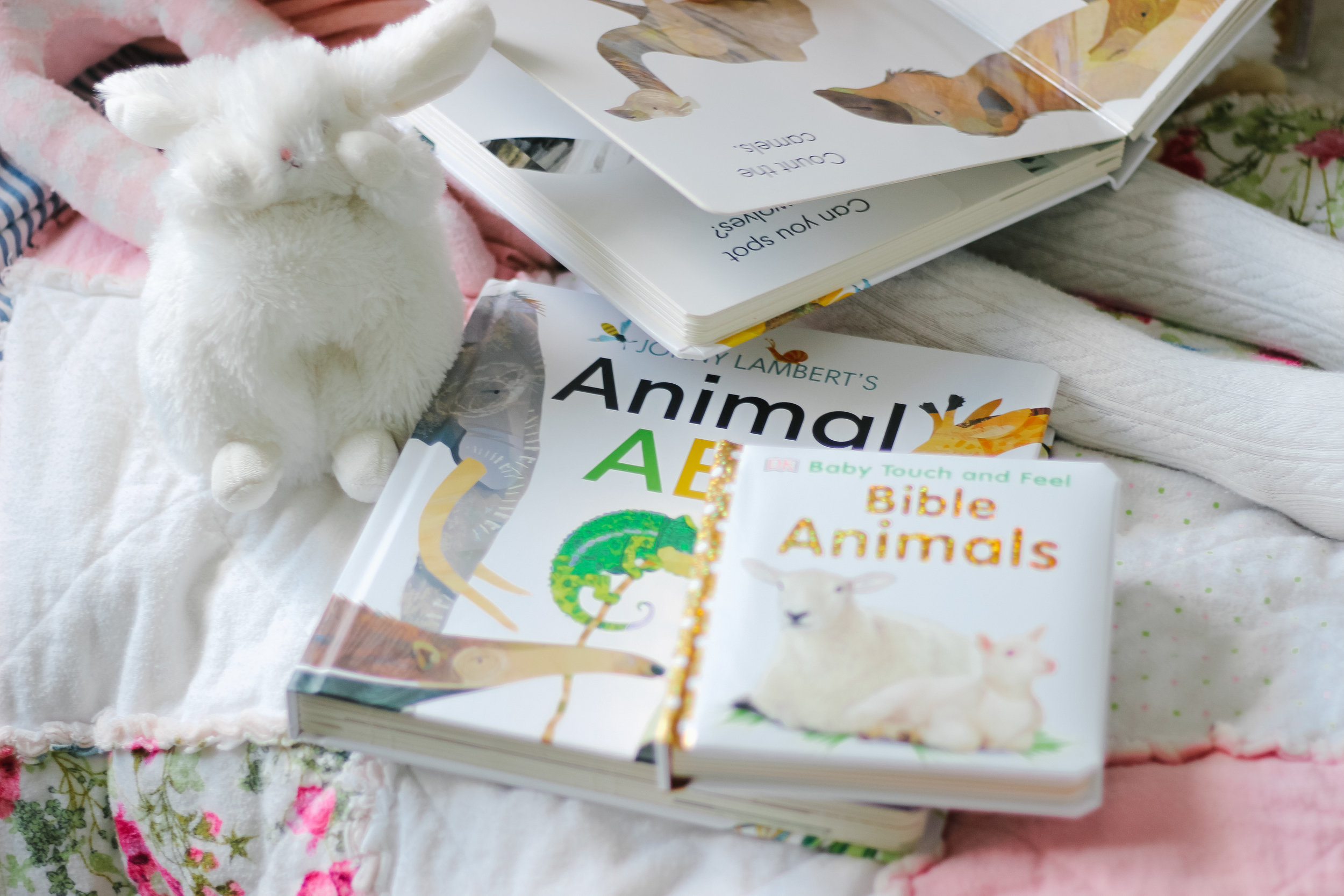 DK Books-2.jpg