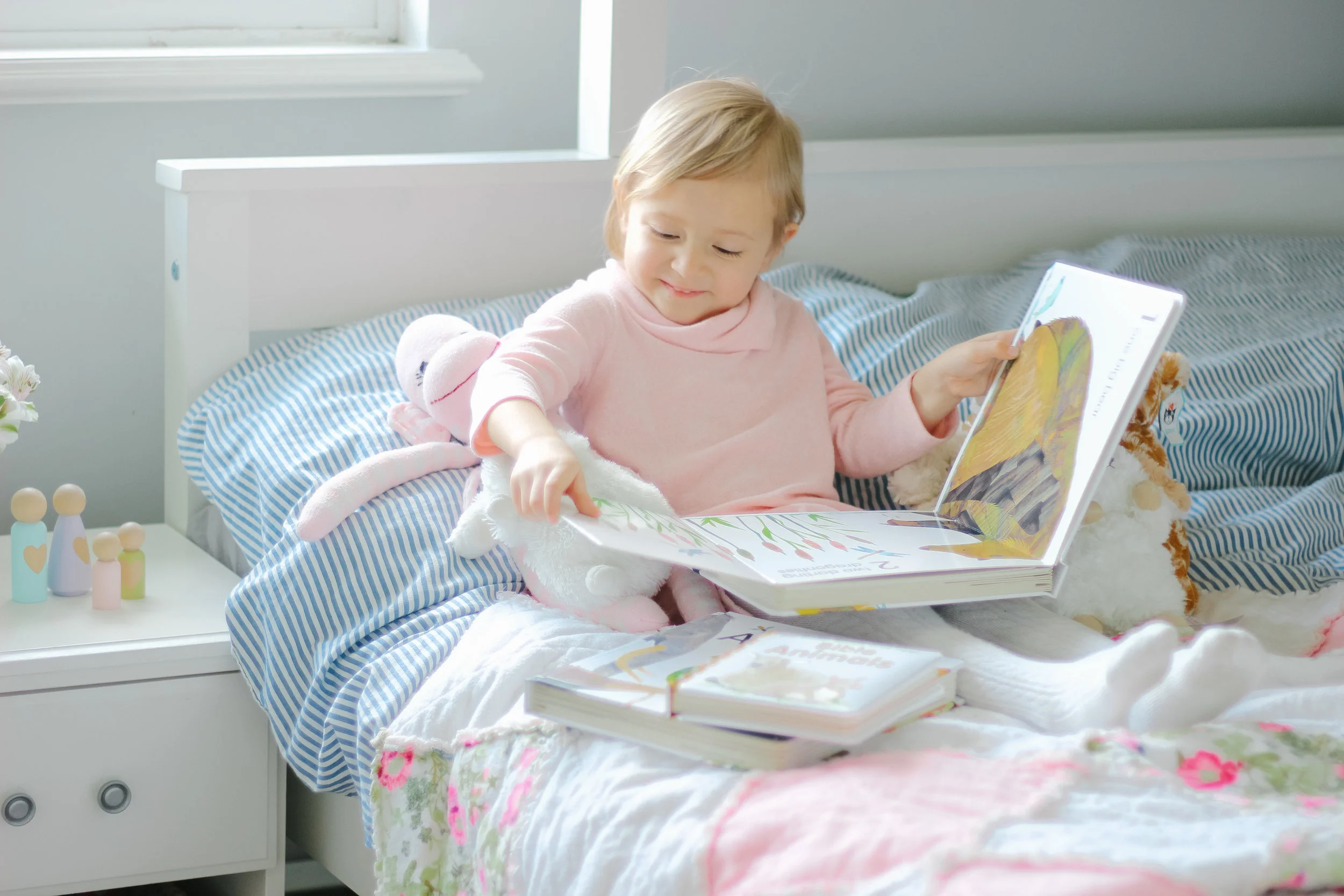 DK Books-1.jpg