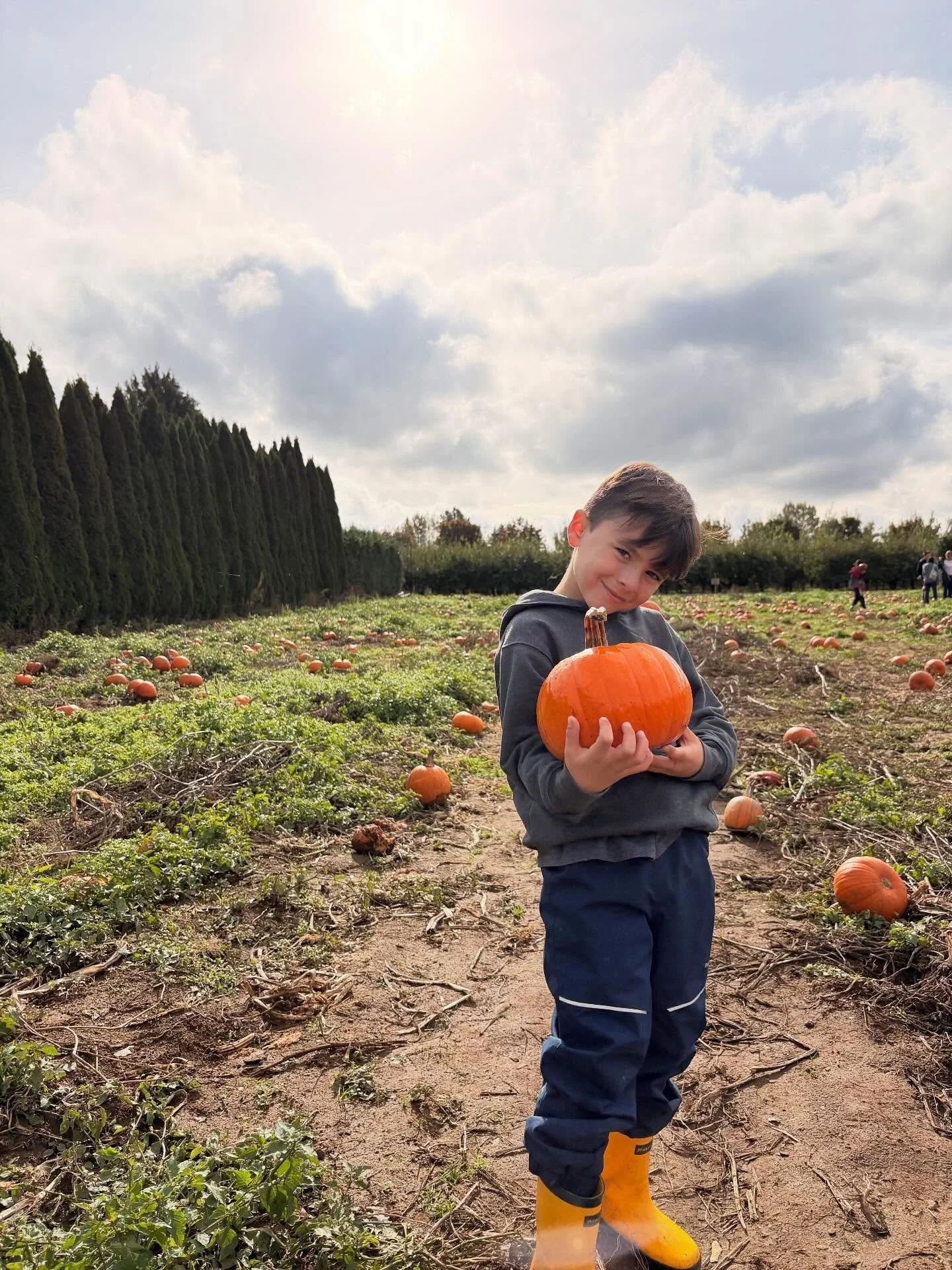 P A T C H  week 🎃