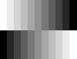 Are black and white colors?