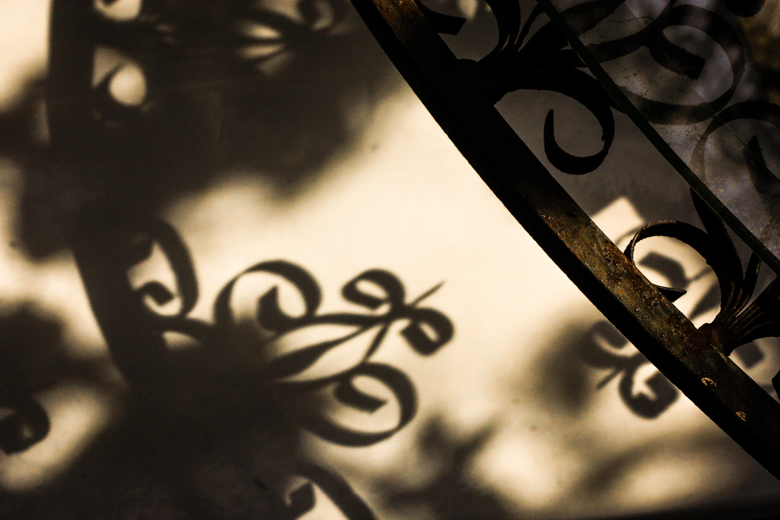 Week09_Shadows Fluer de lis.JPG