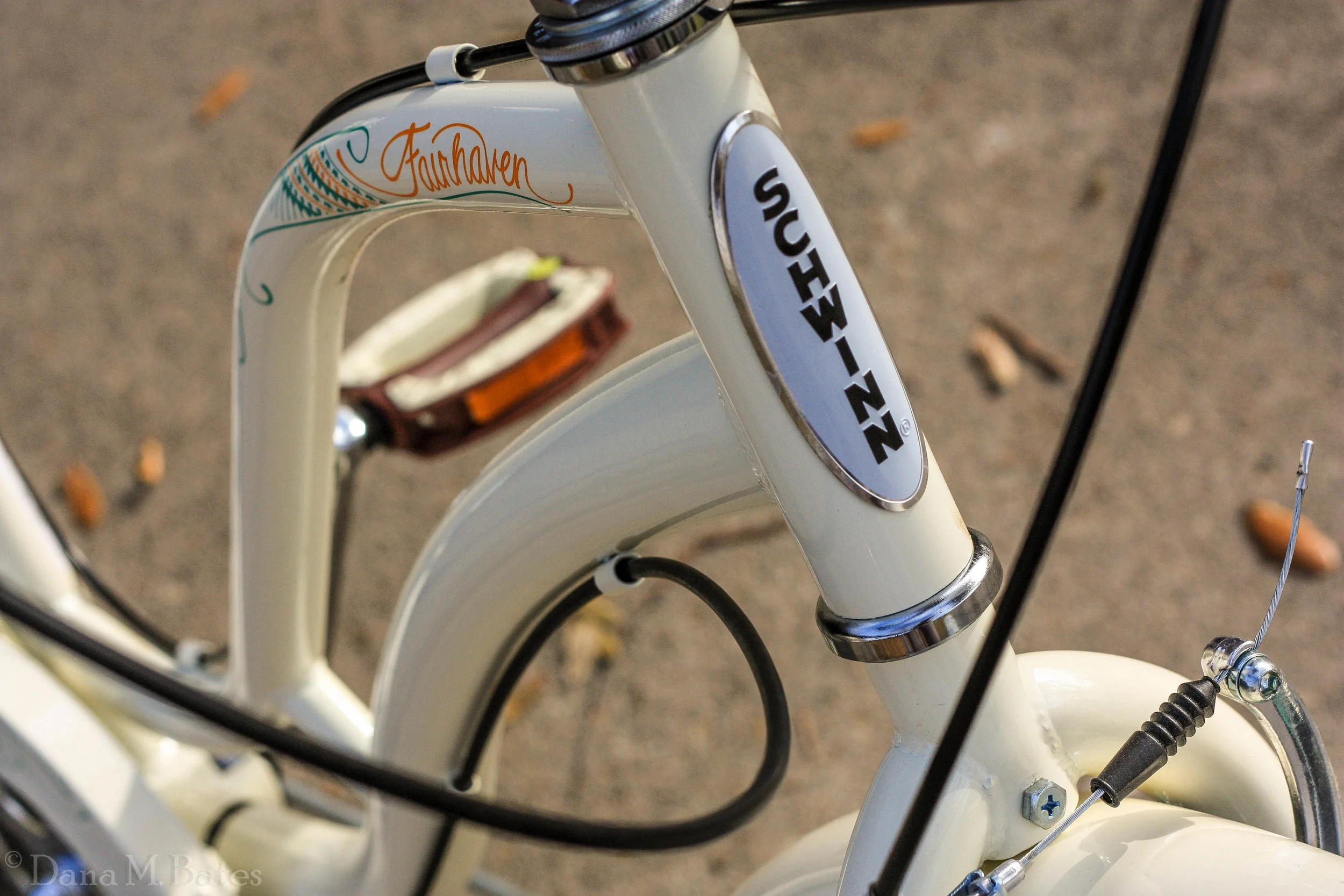 Week12_Transportation Bike.JPG