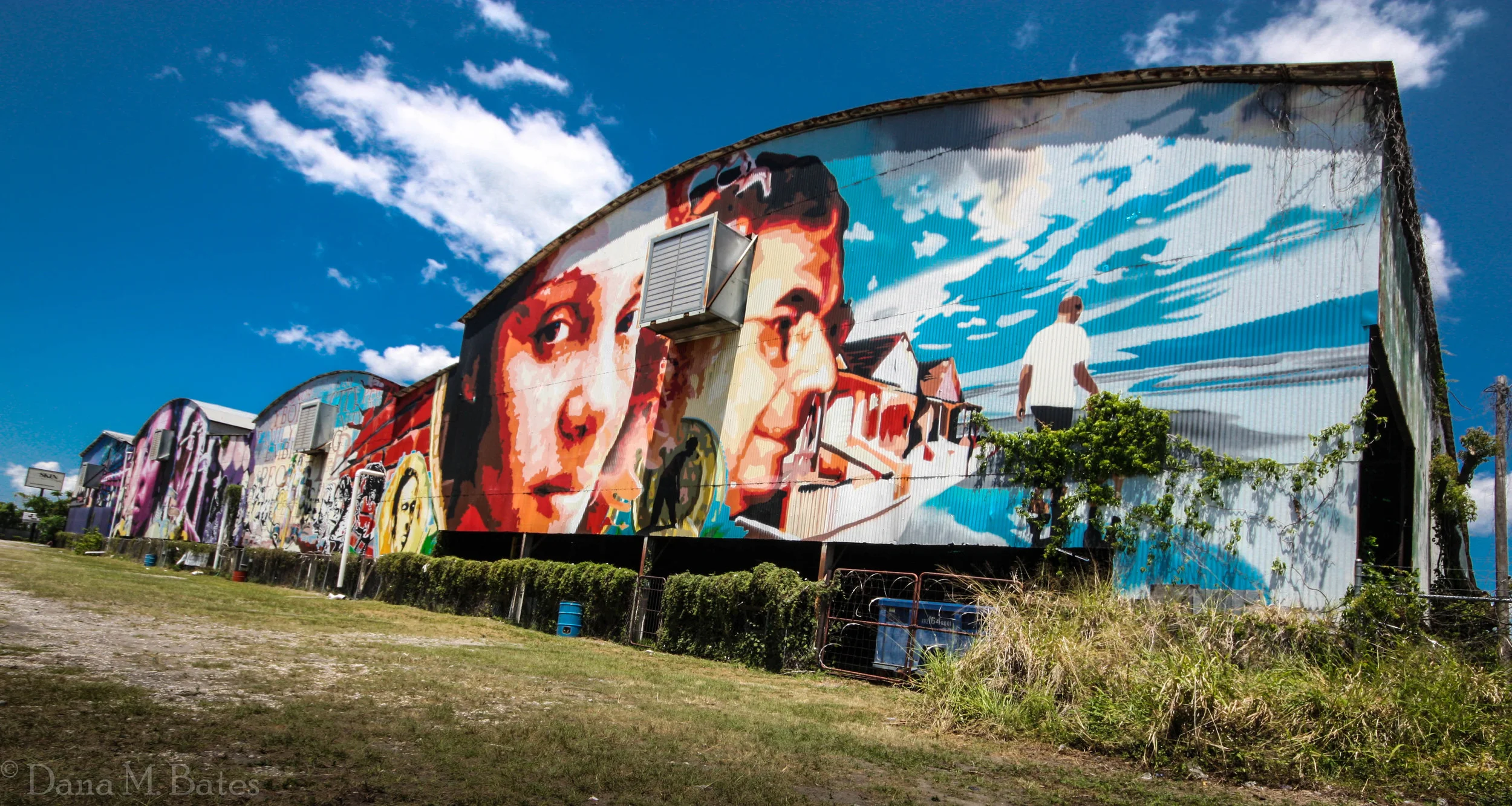 Week17_Landscape Urban.JPG