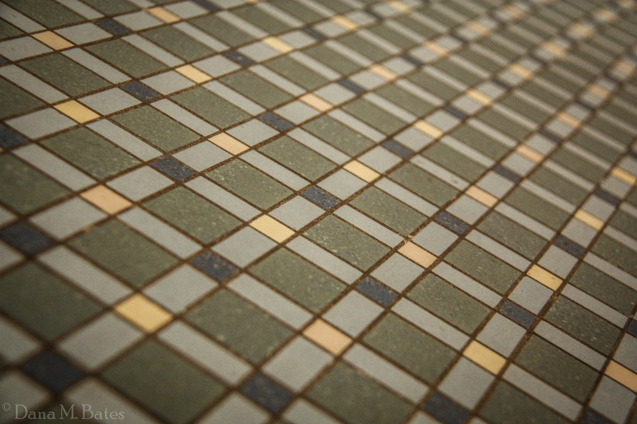 Week30_Artistic Patterns Florida Tile.JPG