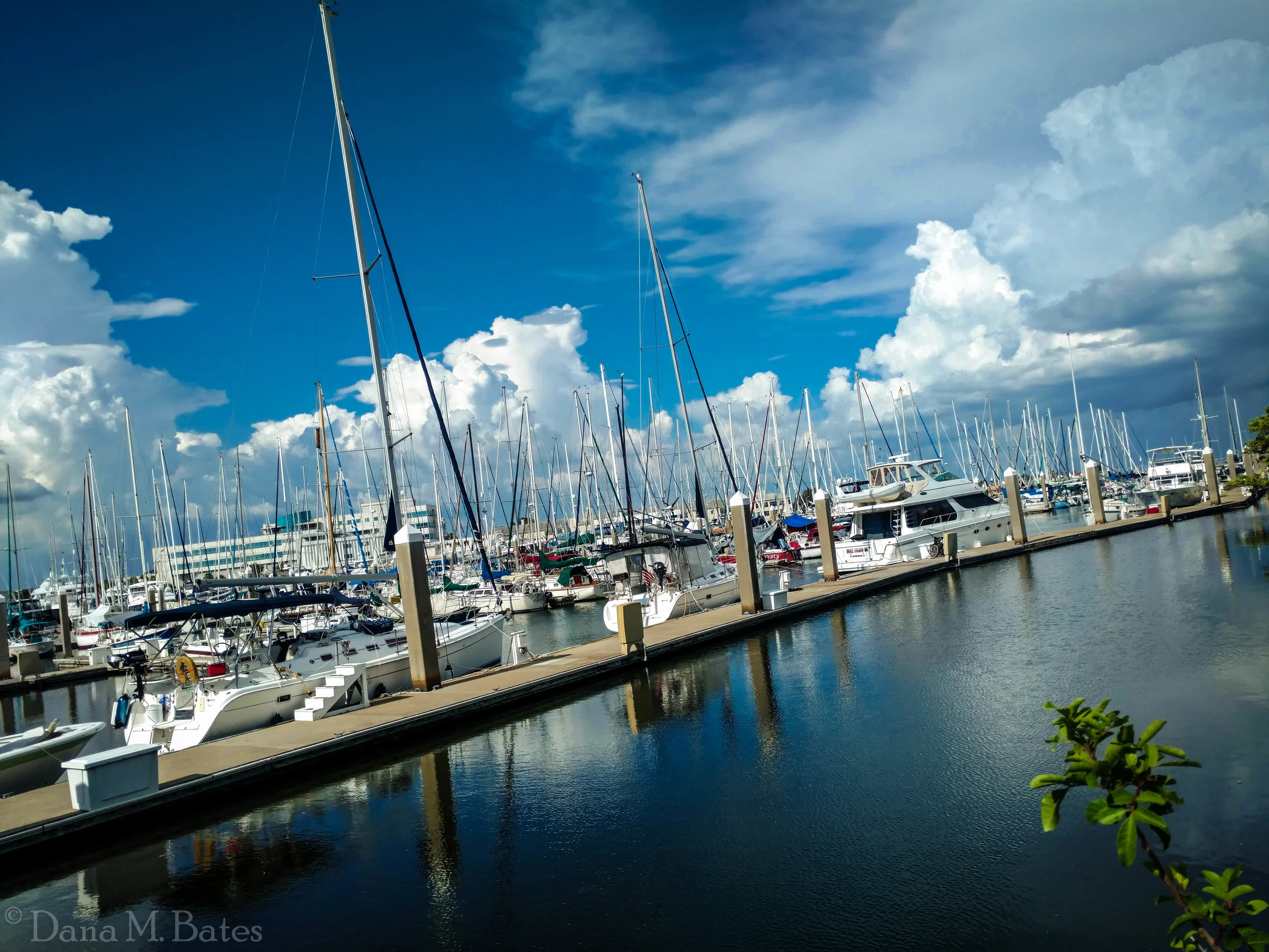 Week29_Waterscape_Bayboro Harbor.JPG