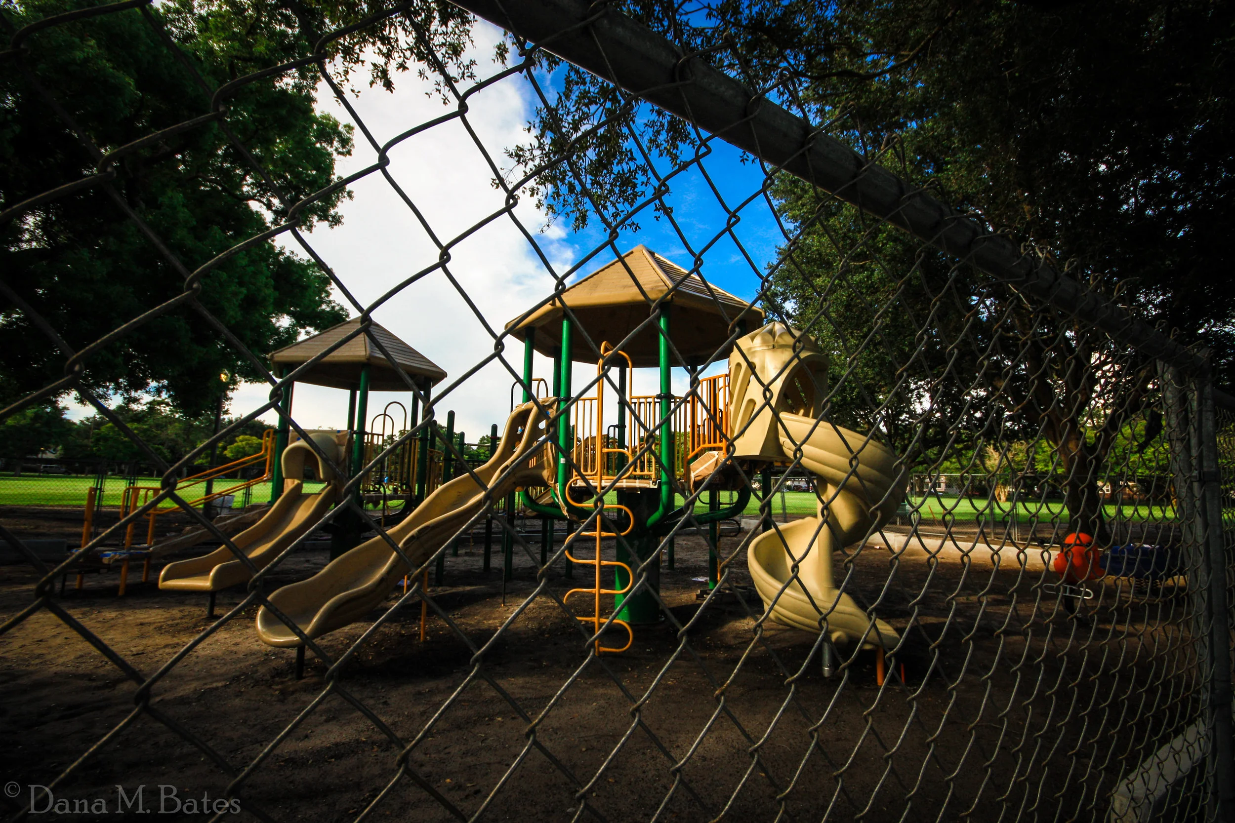 Week32_Landscape Color_Closed.JPG