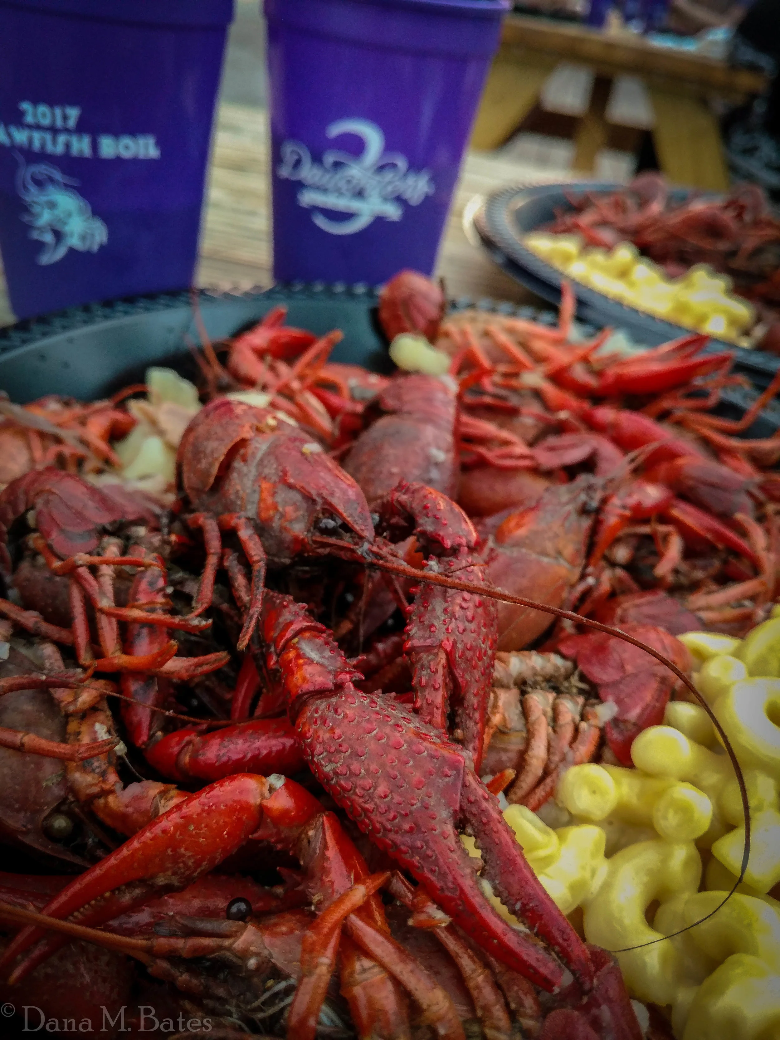 Wk09-2017_Art Still Life.JPG