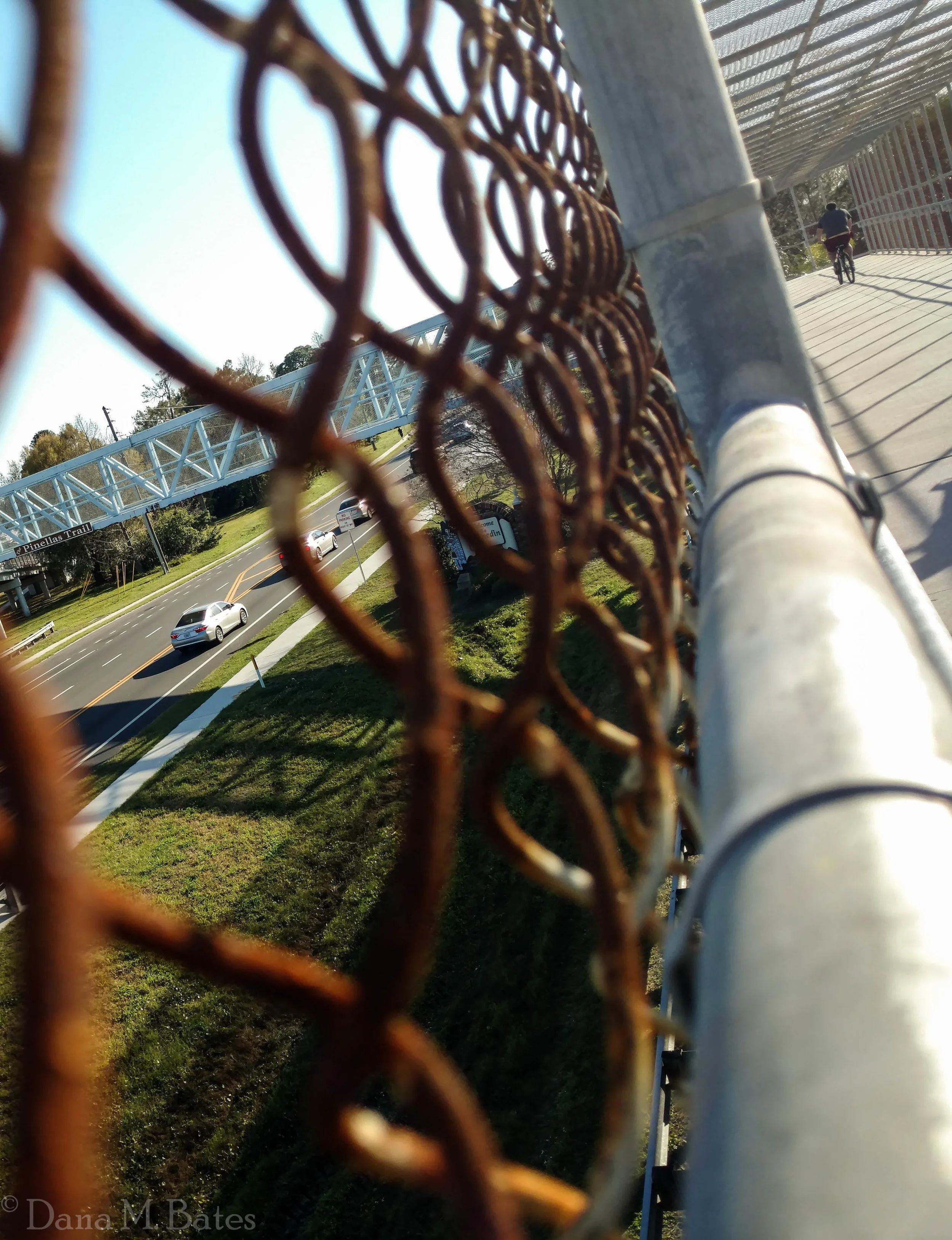 Wk10-207_Pinellas Trail.JPG