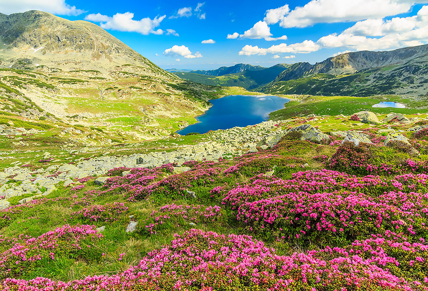 Retezat Mountains