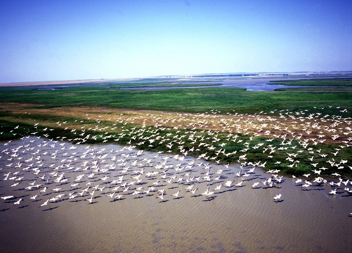 Danube Delta's vast ecosystem (UNESCO World Heritage site)