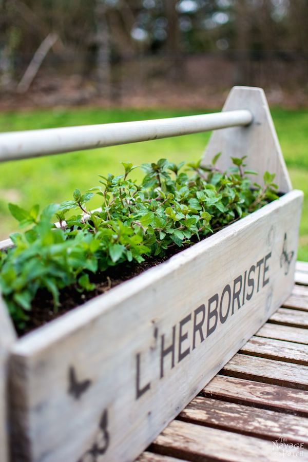 Toolbox to Planter from The Navage Patch