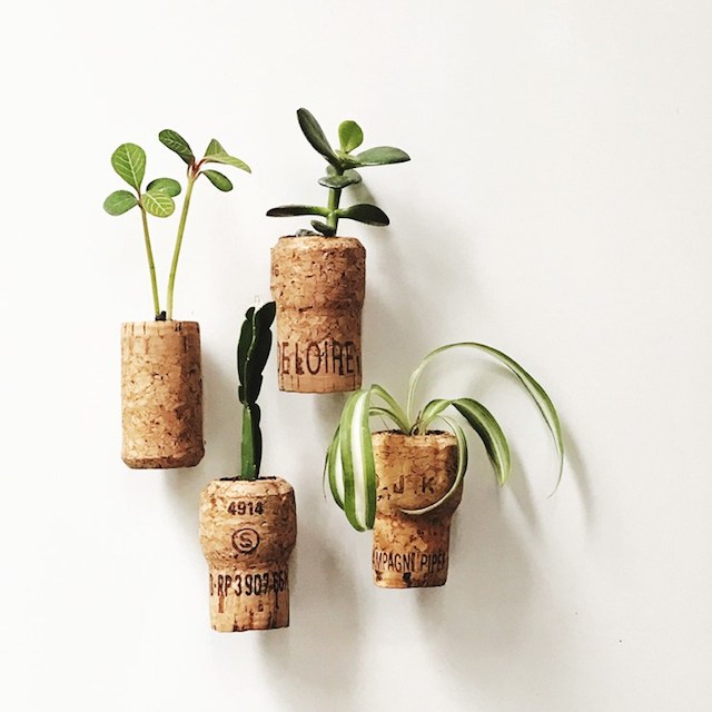 Cork Magnet Planters from Nifty Thrify Things